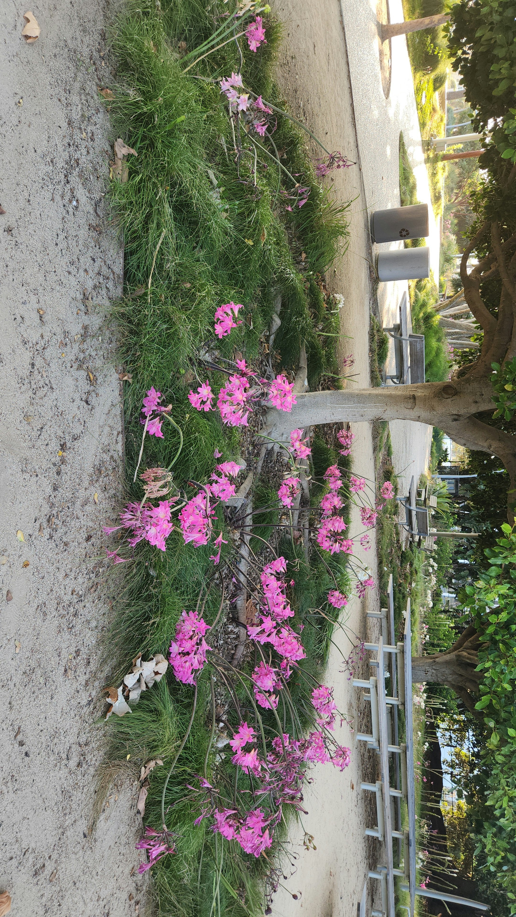 Player photo from Superhero Support Team: Santa Monica walking tour in Los Angeles