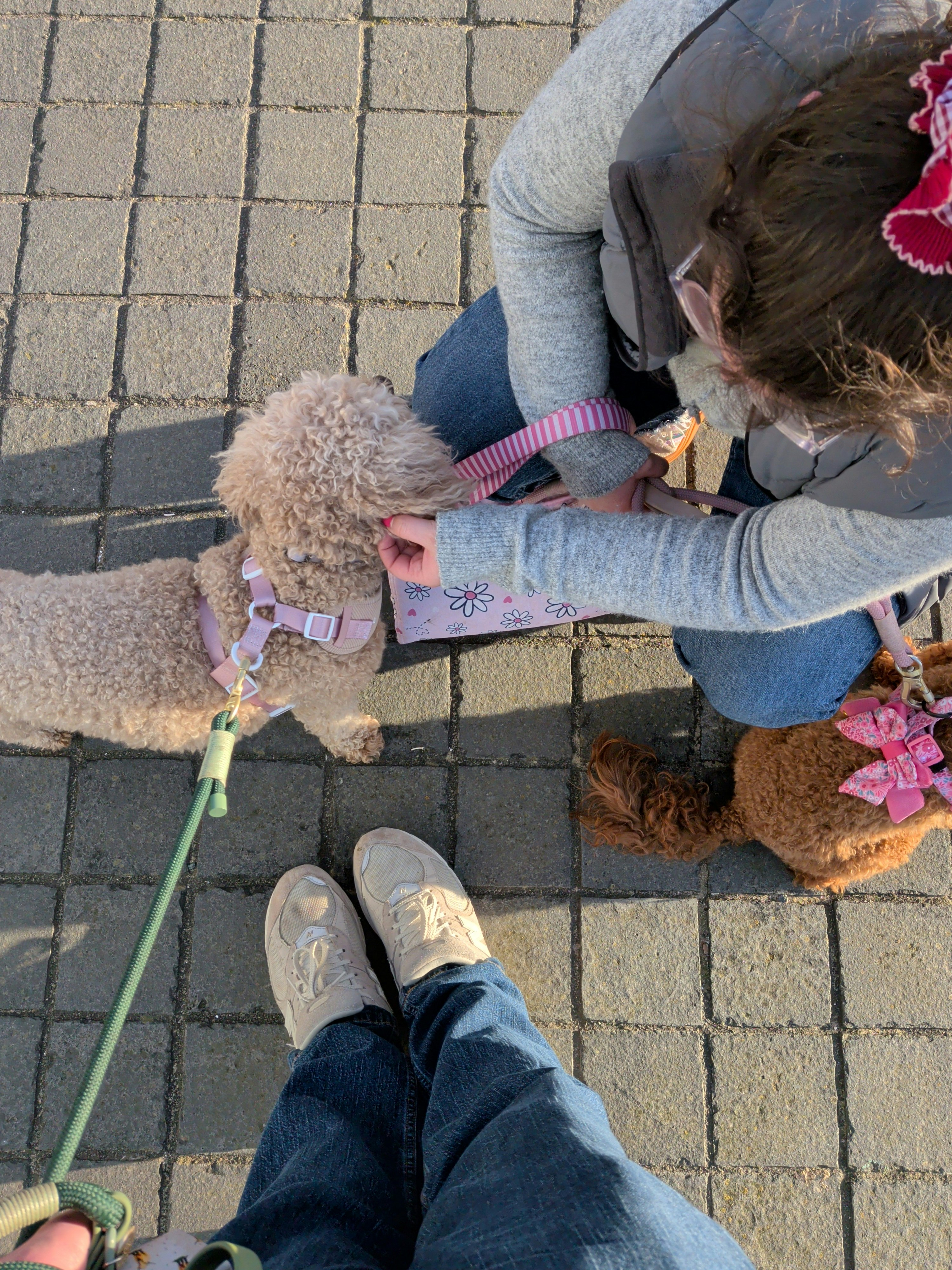 Player photo from Historic Margate - Beach Boys and Bathing Belles: a Seaside Trail through Victorian Margate walking tour in Margate