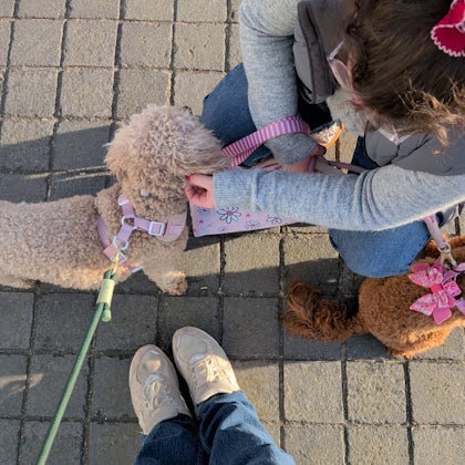 Player photo from Historic Margate - Beach Boys and Bathing Belles: a Seaside Trail through Victorian Margate walking tour in Margate