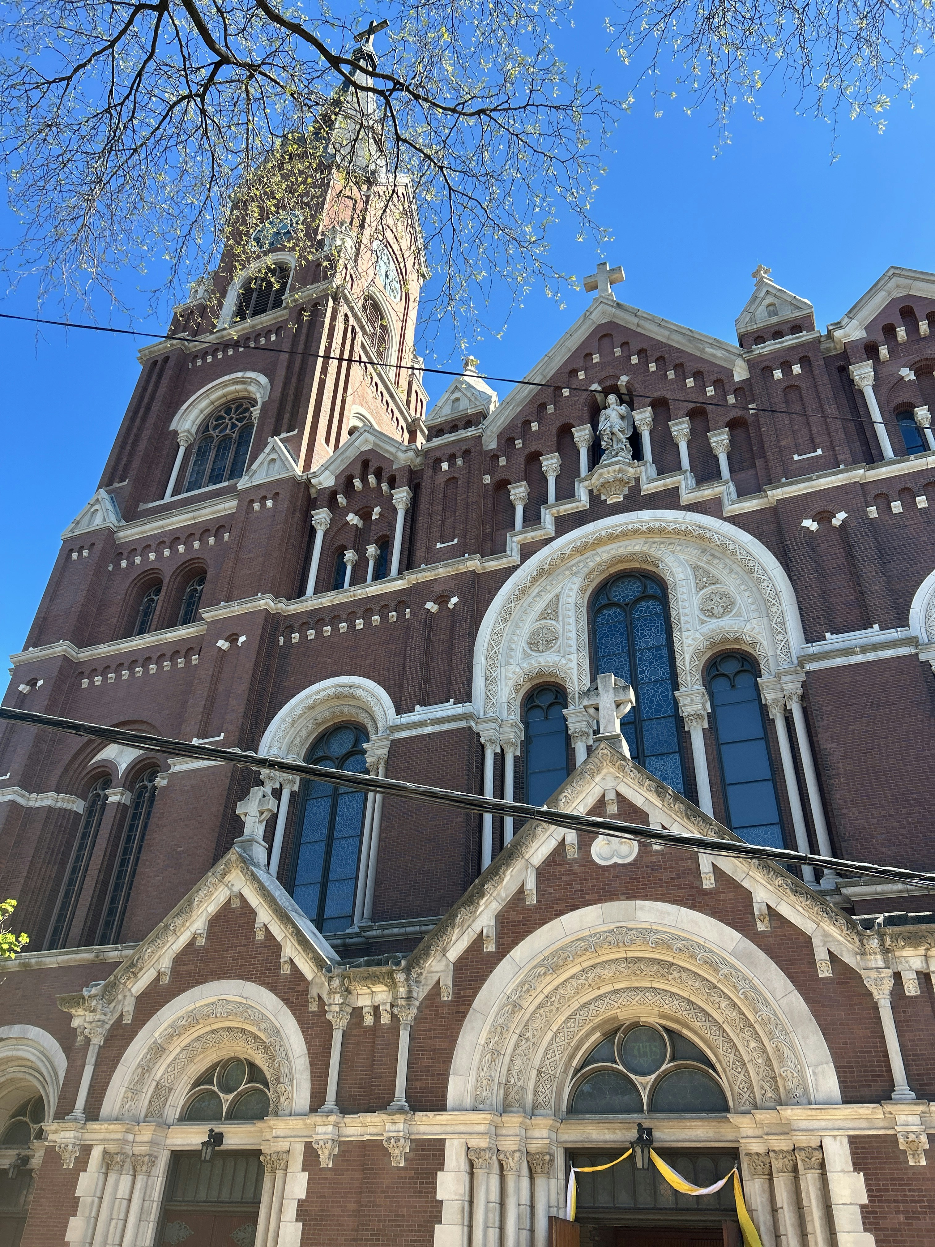 Player photo from Rats! A Cat’s Quest Through Lincoln Park, Chicago walking tour in Chicago