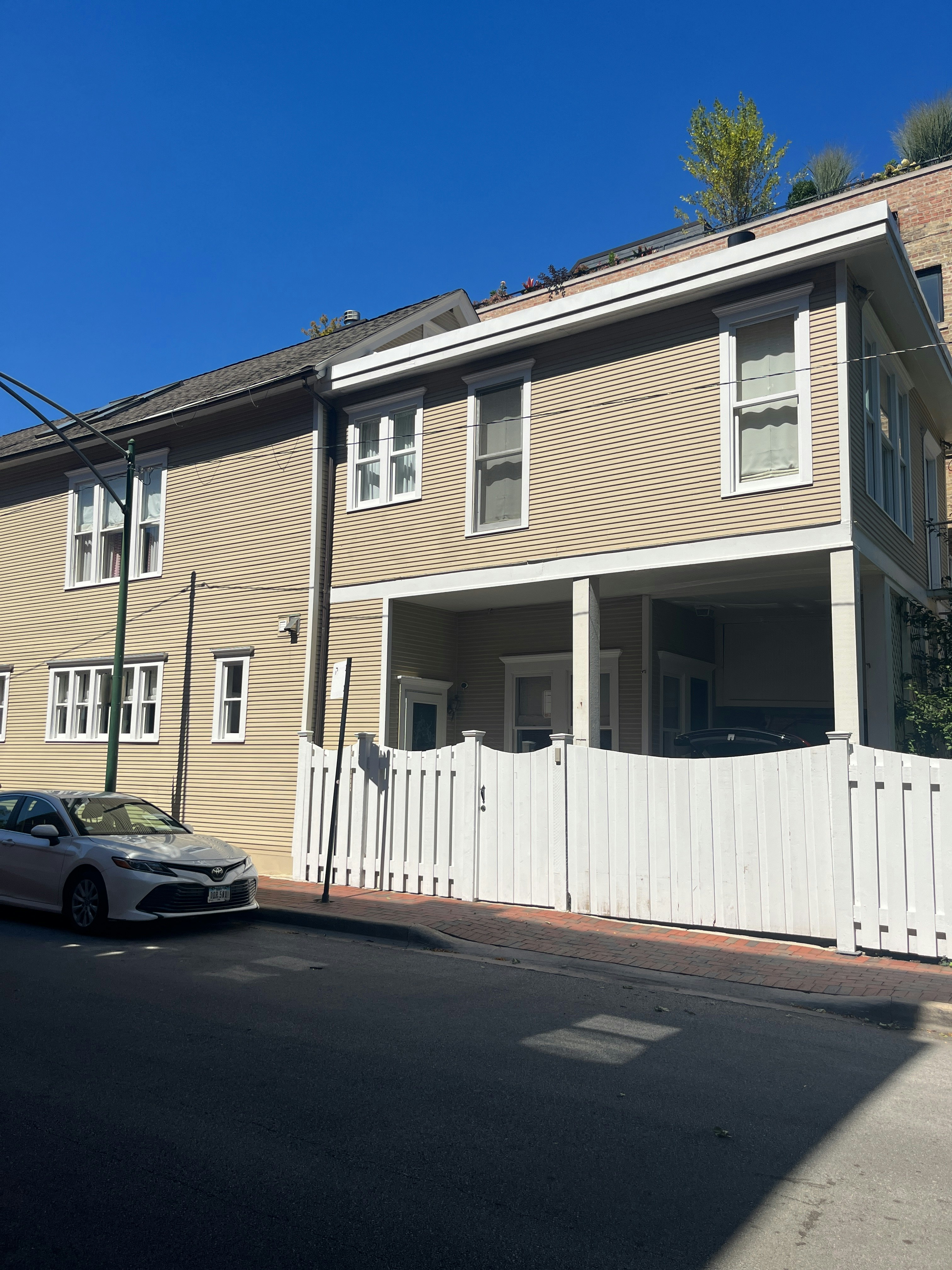 Player photo from Rats! A Cat’s Quest Through Lincoln Park, Chicago walking tour in Chicago