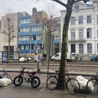 Player photo from Amsterdam Shadows: The Plantage Resistance walking tour in Amsterdam