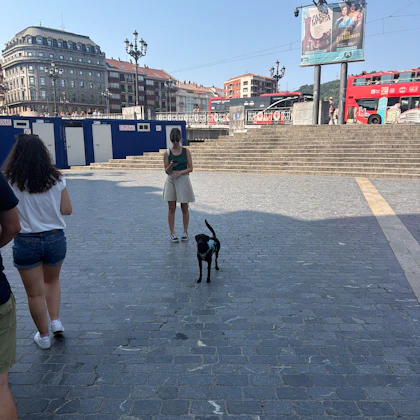 Player photo from Mysterious Bilbao: Secrets of Casco Viejo walking tour in Bilbao