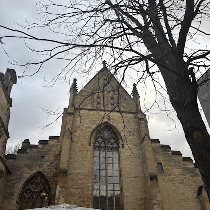 Player photo from Maastricht Knights: Medieval Adventure Escape Game walking tour in Maastricht