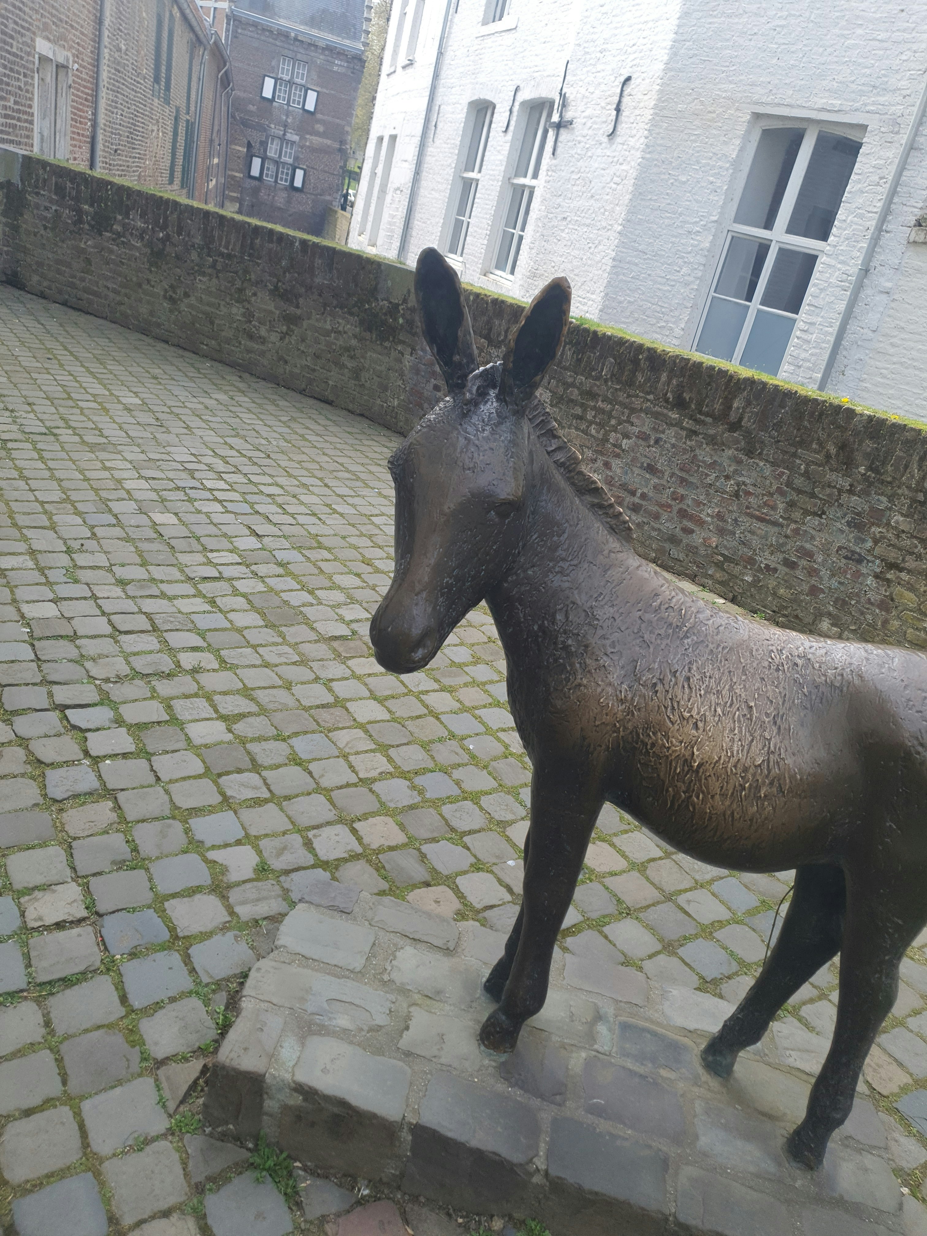 Player photo from Maastricht Knights: Medieval Adventure Escape Game walking tour in Maastricht
