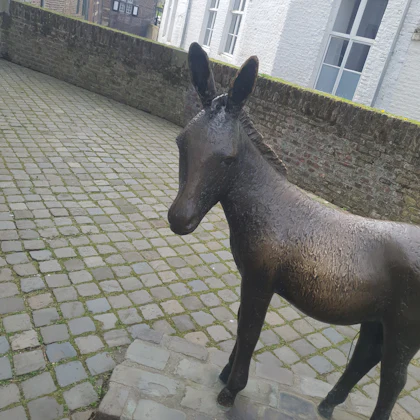 Player photo from Maastricht Knights: Medieval Adventure Escape Game walking tour in Maastricht
