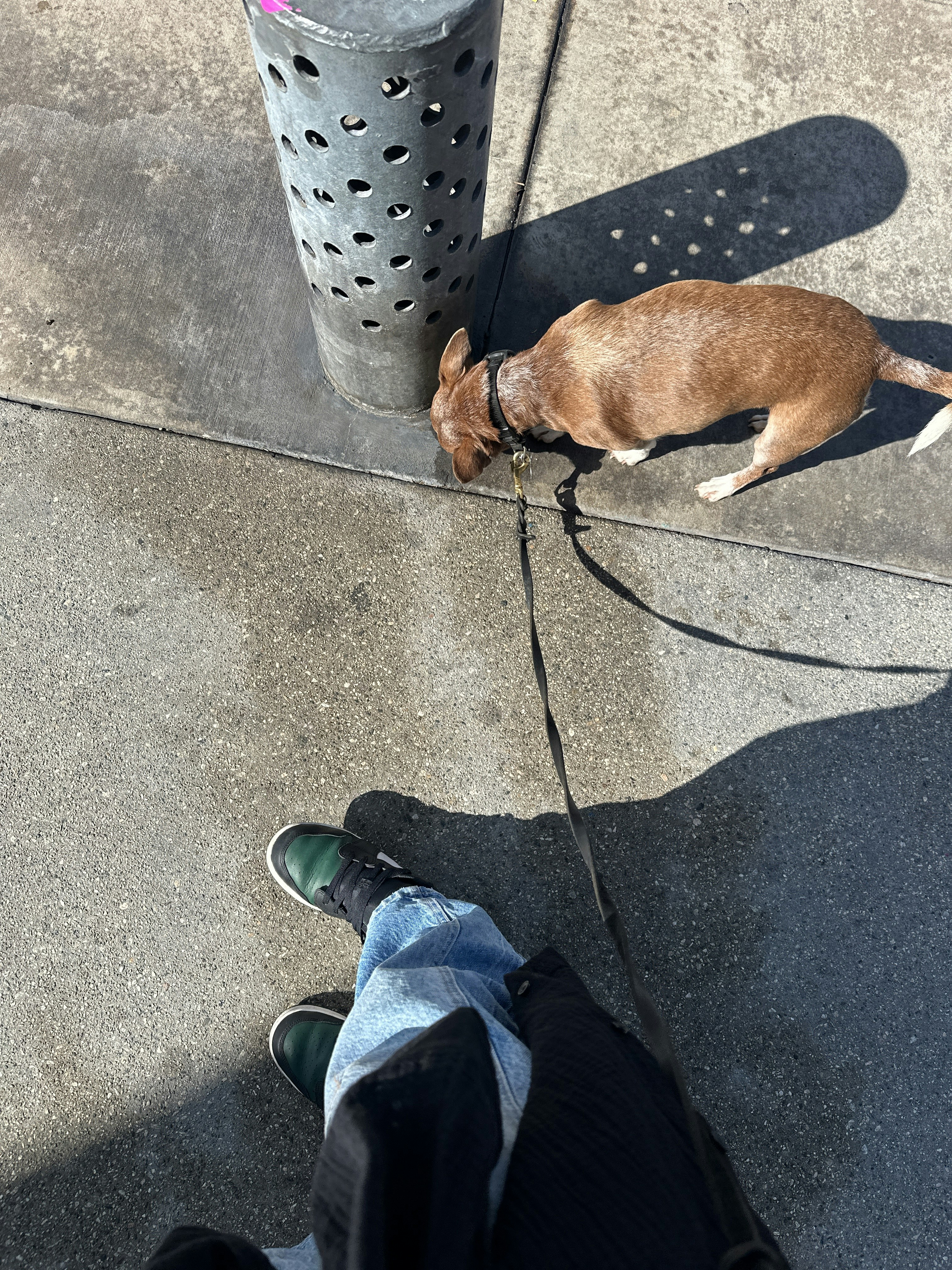 Player photo from Rock'n'Roll Los Angeles: The Sunset Strip walking tour in Los Angeles