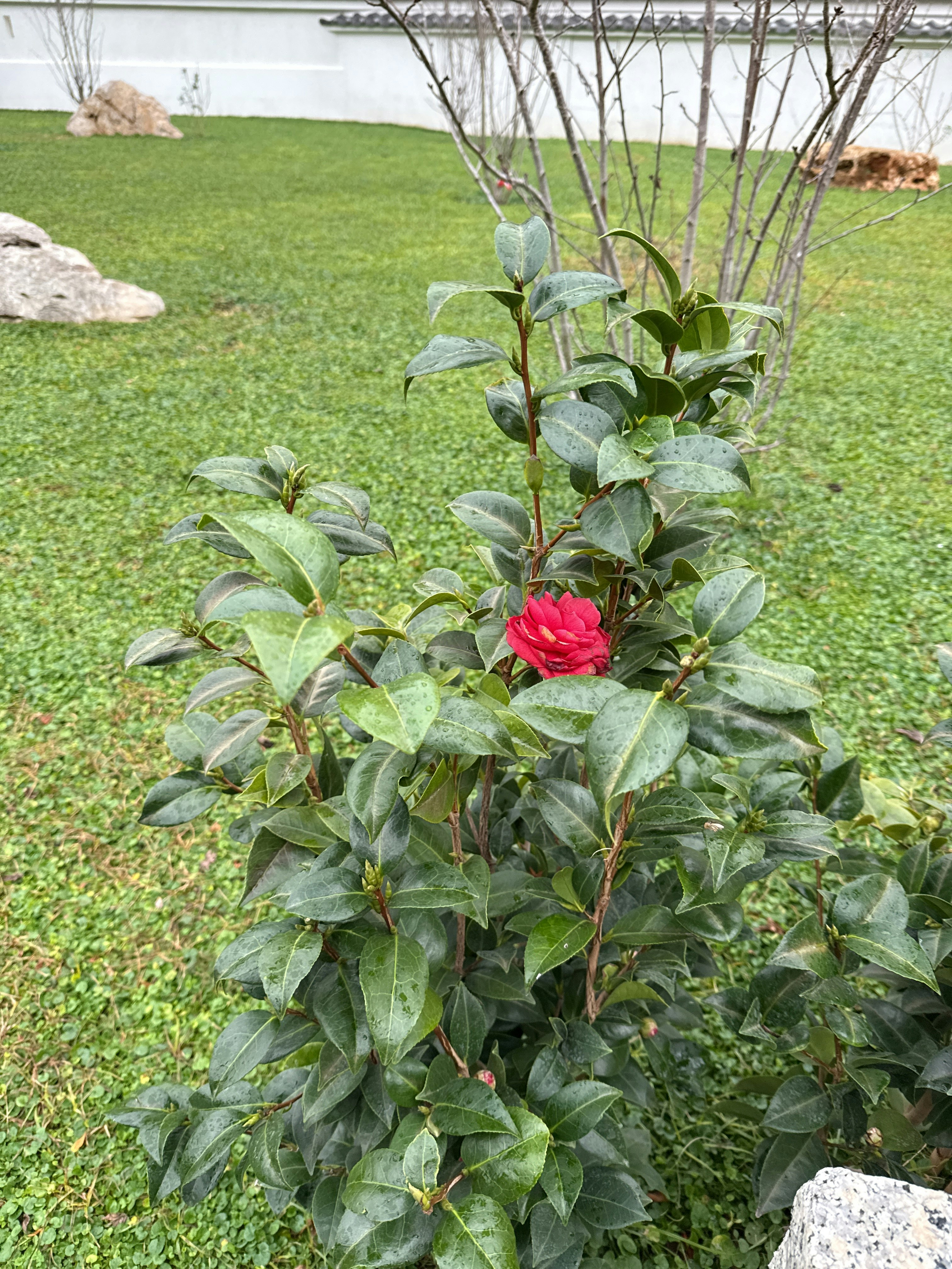 Player photo from Monaco's Exploration Game walking tour in Monte Carlo