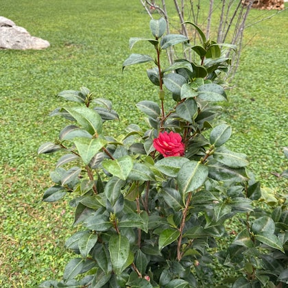 Player photo from Monaco's Exploration Game walking tour in Monte Carlo