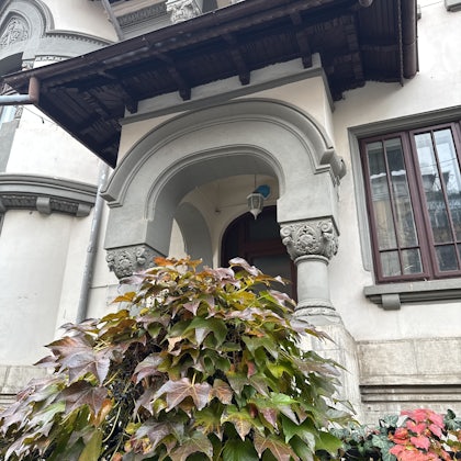 Player photo from Romantic Cotroceni: Run Away With Me in Bucharest walking tour in Bucharest