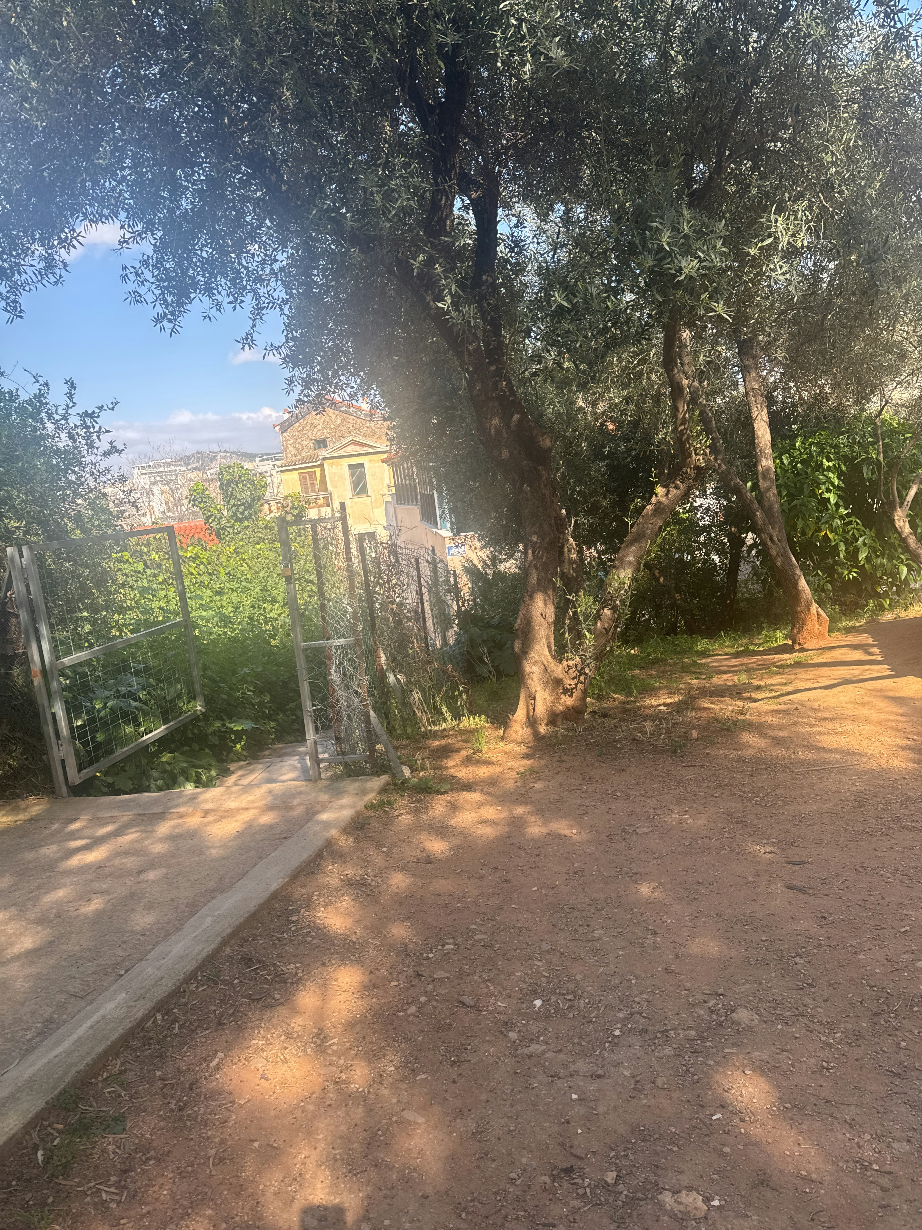 Player photo from Athens Highlights: Quest to Find the Stolen Treasures walking tour in Athens