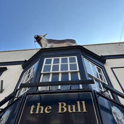 Player photo from Boudica's Legacy: Women of Colchester walking tour in Colchester