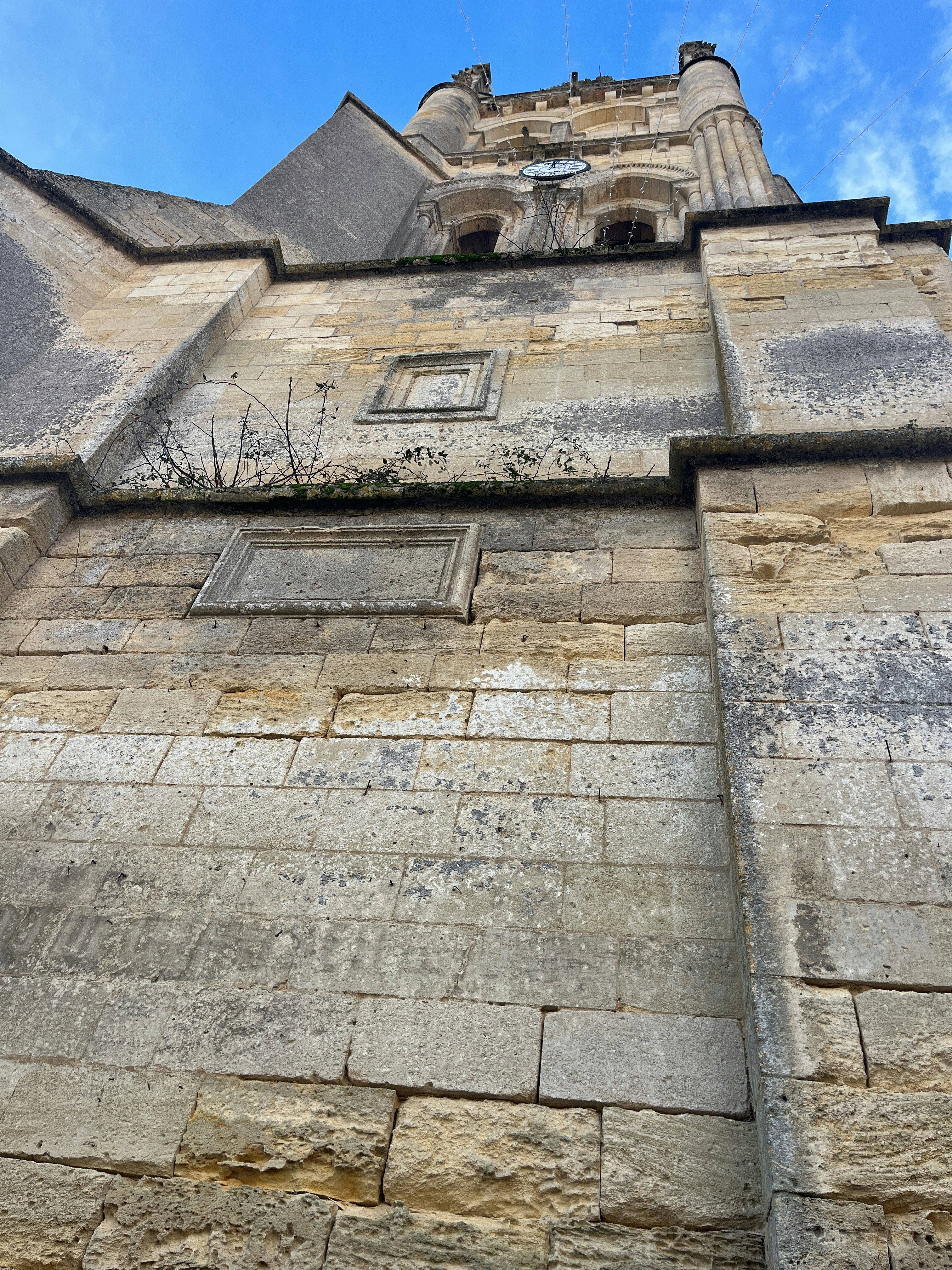 Player photo from Saint Emilion: In the footsteps of Isaac Newton walking tour in Saint-Emilion