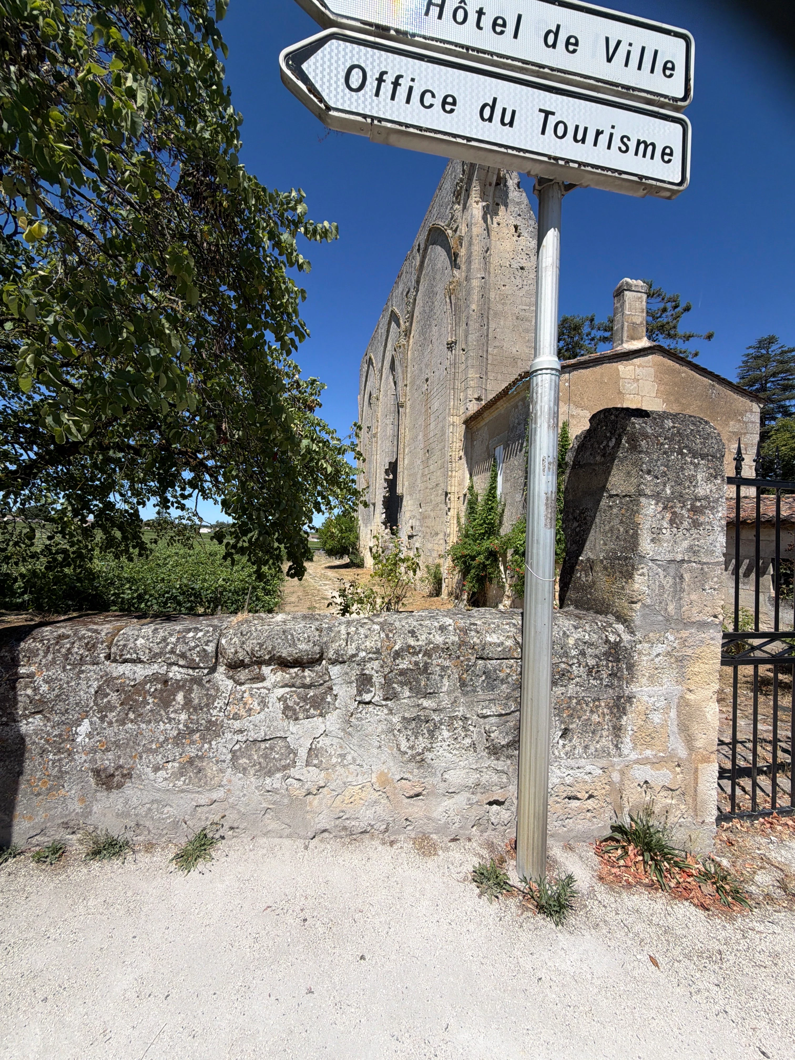 Player photo from Saint Emilion: In the footsteps of Isaac Newton walking tour in Saint-Emilion