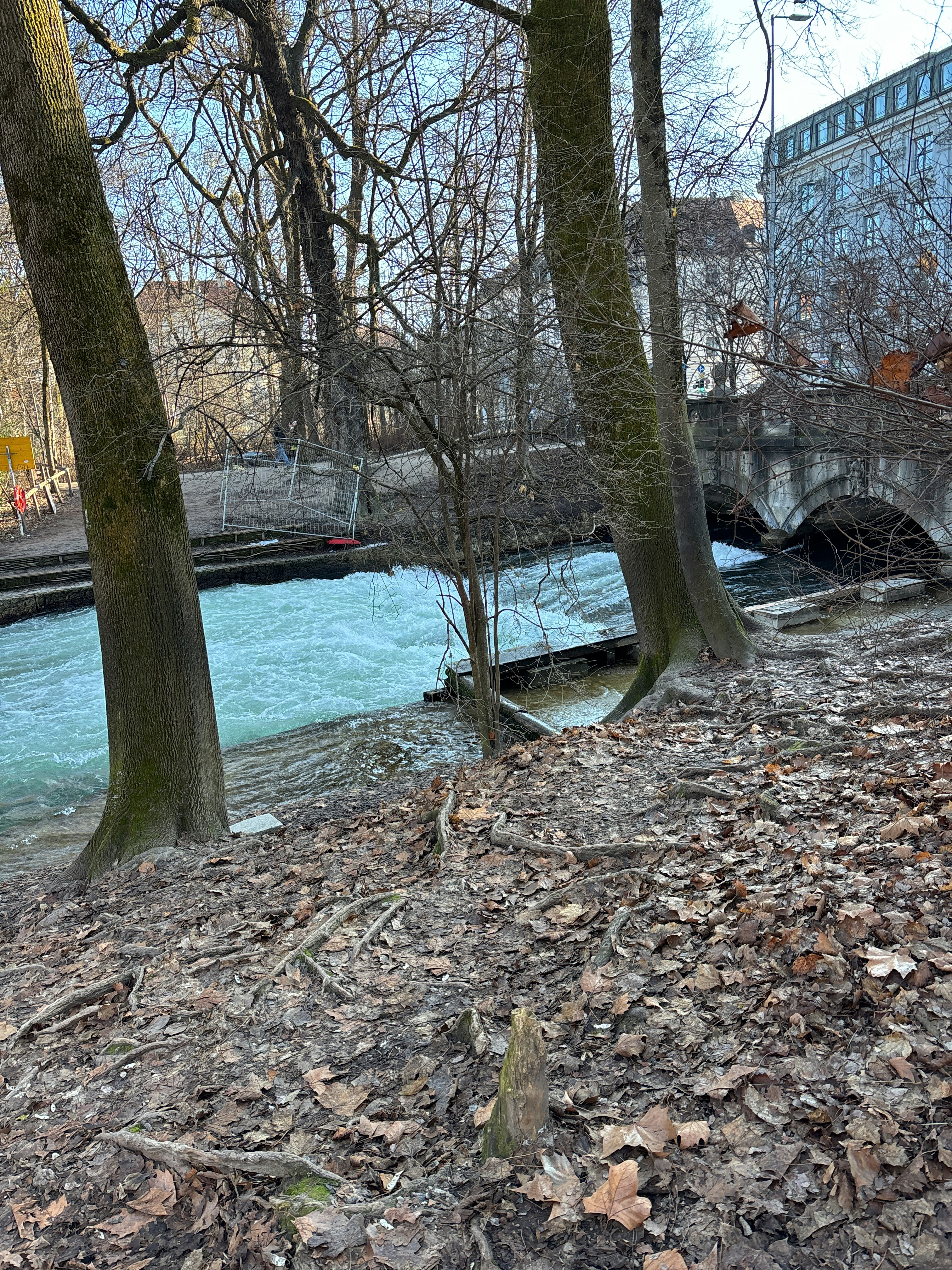 Player photo from Munich Minds: The Case of Sigmund Fraud walking tour in Munich