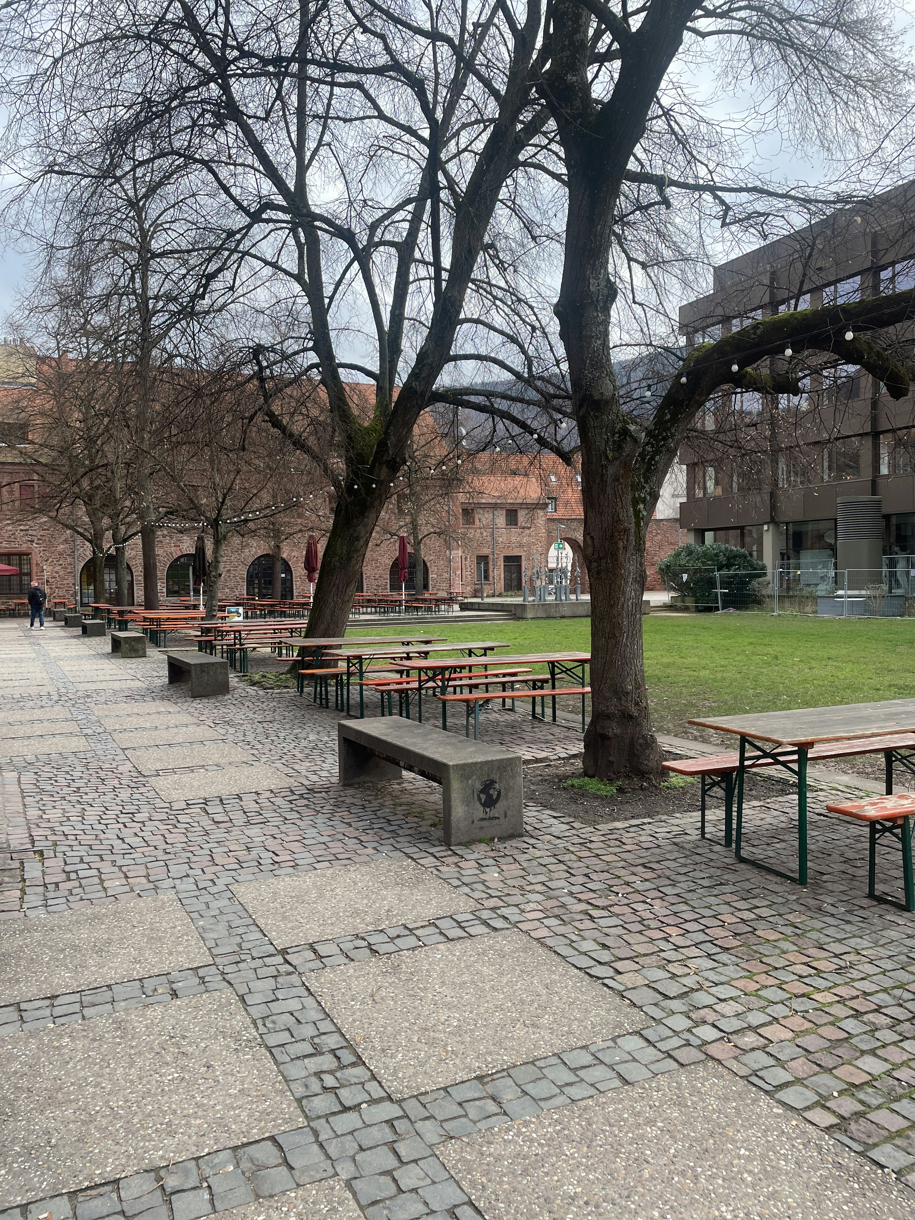 Player photo from Heidelberg Secrets: The Test of the Seekers walking tour in Heidelberg