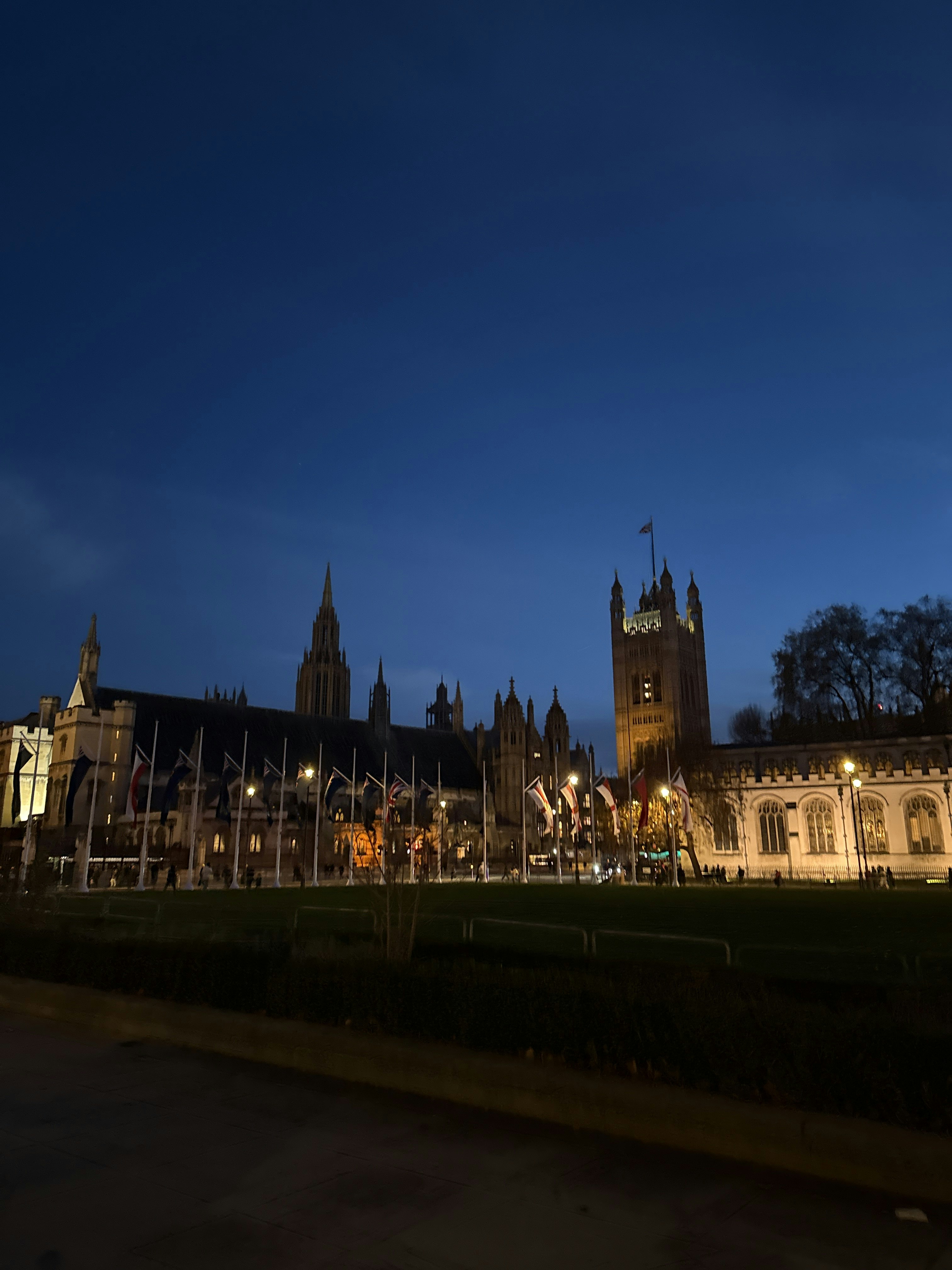 Player photo from London Highlights: The Westminster Enigma walking tour in London