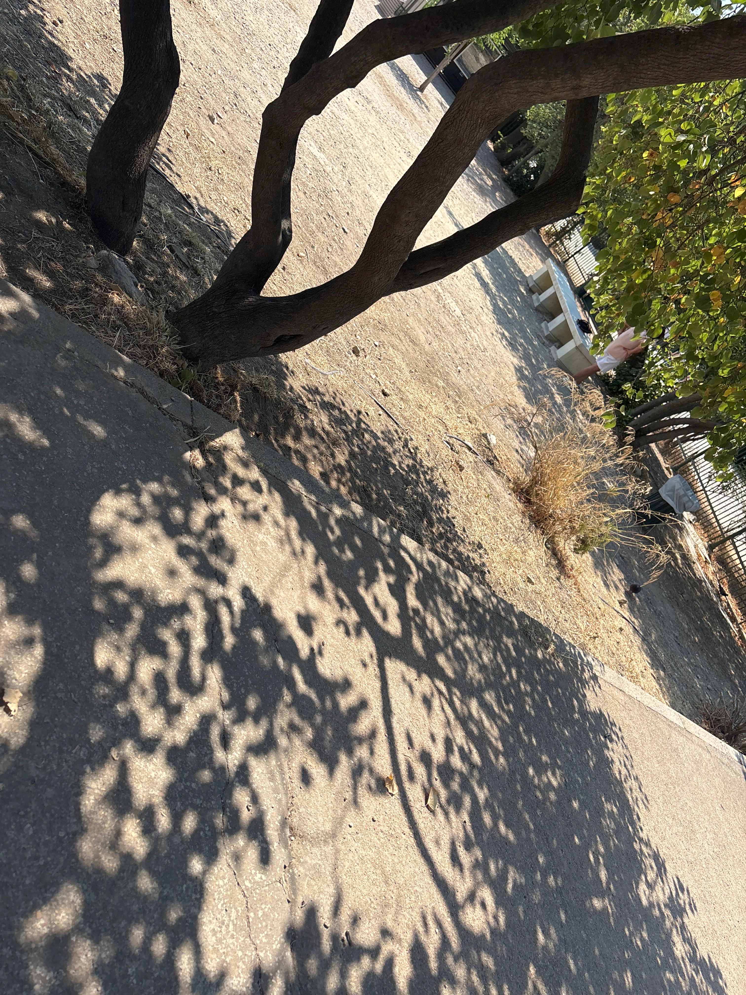 Player photo from Acropolis Adventure: Parthenon's Footsteps in Ancient Athens walking tour in Athens