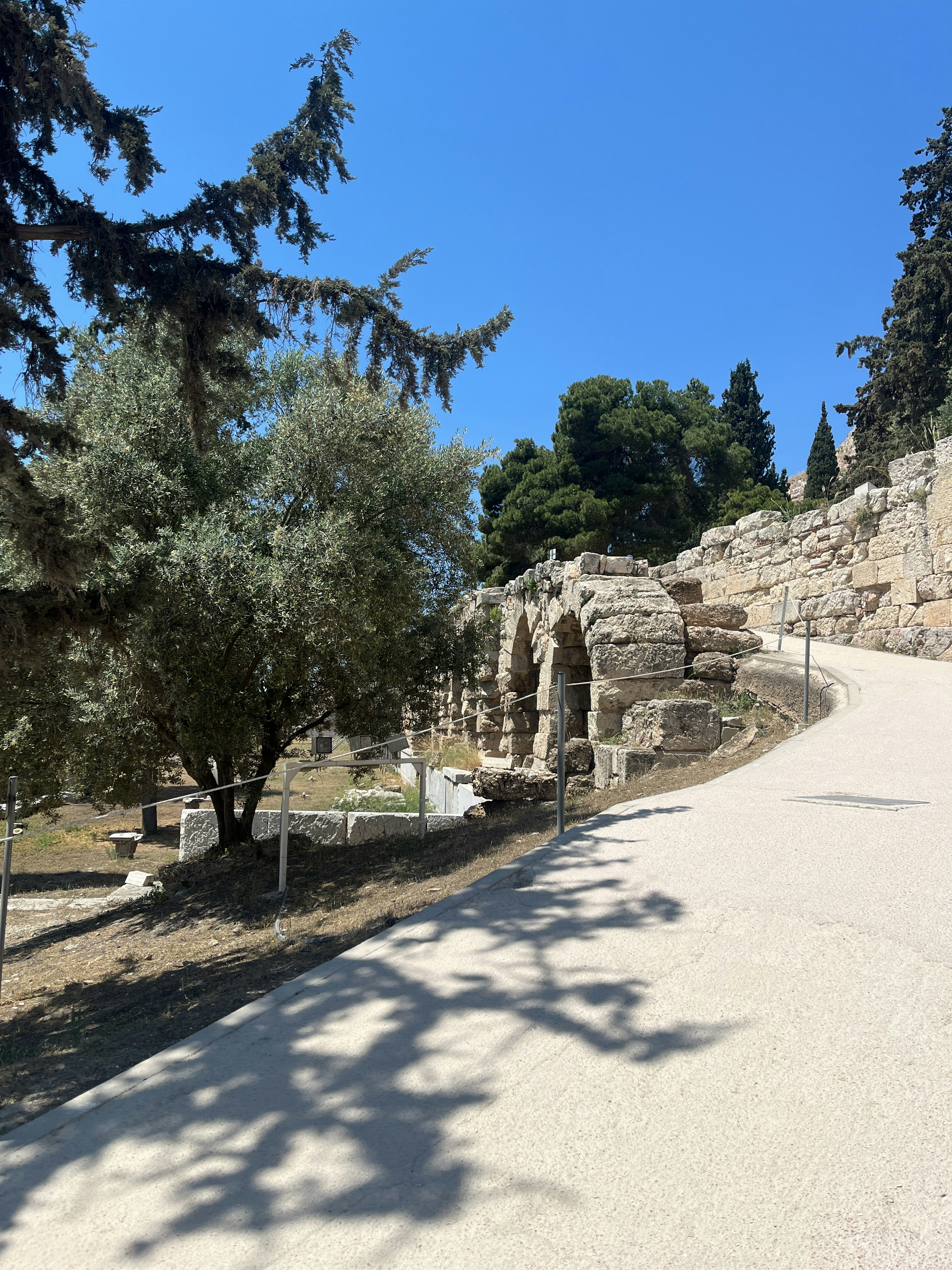 Player photo from Acropolis Adventure: Parthenon's Footsteps in Ancient Athens walking tour in Athens