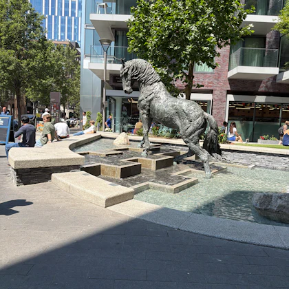 Player photo from Pirates of St Katharine Docks in London walking tour in London