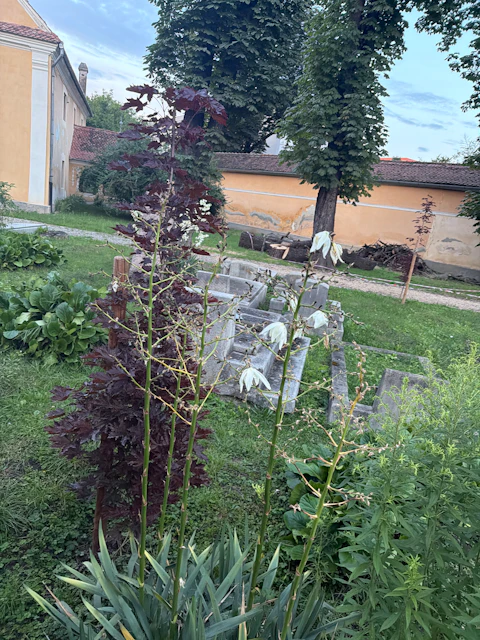Foto di un giocatore da Haunted Brasov: Face The Vengeful Ghosts 