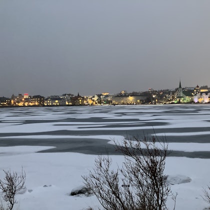 Player photo from Highlights of Reykjavík: Viking Trails! walking tour in Reykjavík