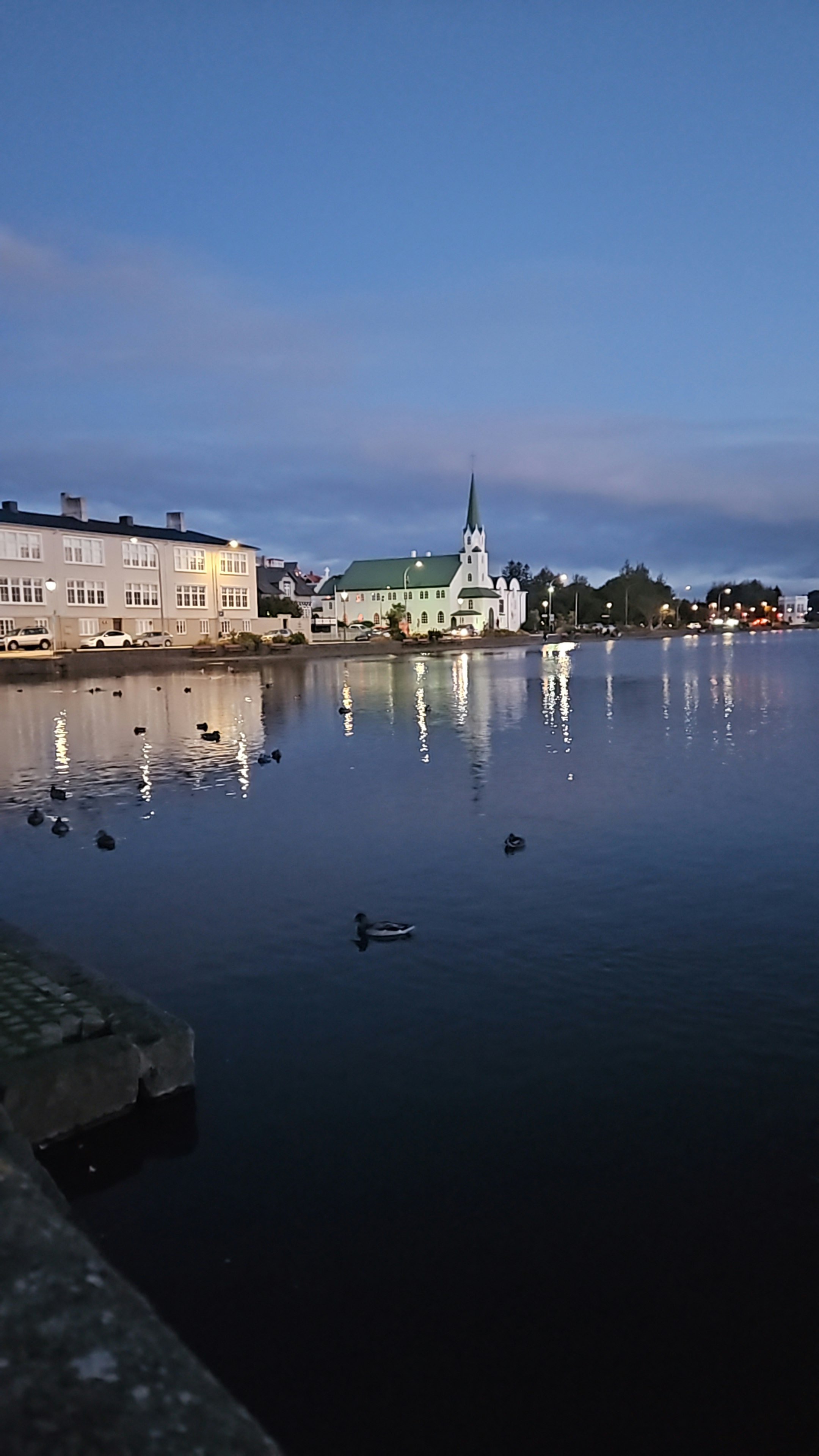 Player photo from Highlights of Reykjavík: Viking Trails!     walking tour in Reykjavík
