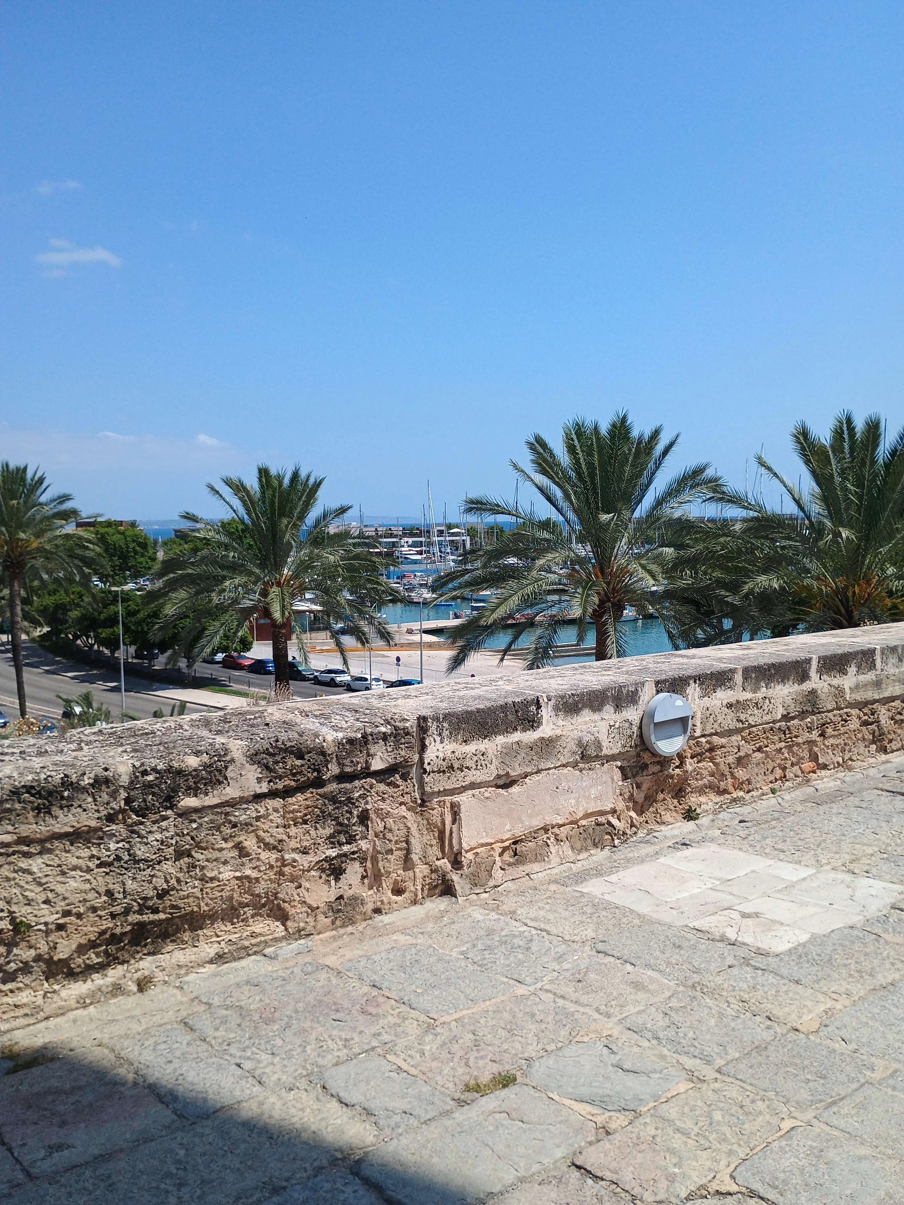 Player photo from Romantic Palma de Mallorca: Fall in Love Again walking tour in Palma