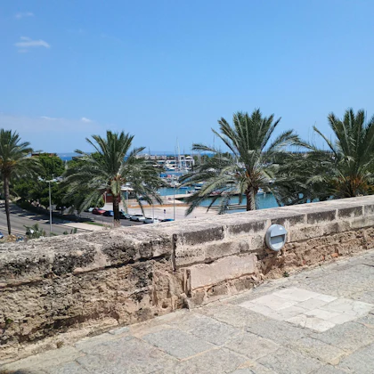 Player photo from Romantic Palma de Mallorca: Fall in Love Again walking tour in Palma