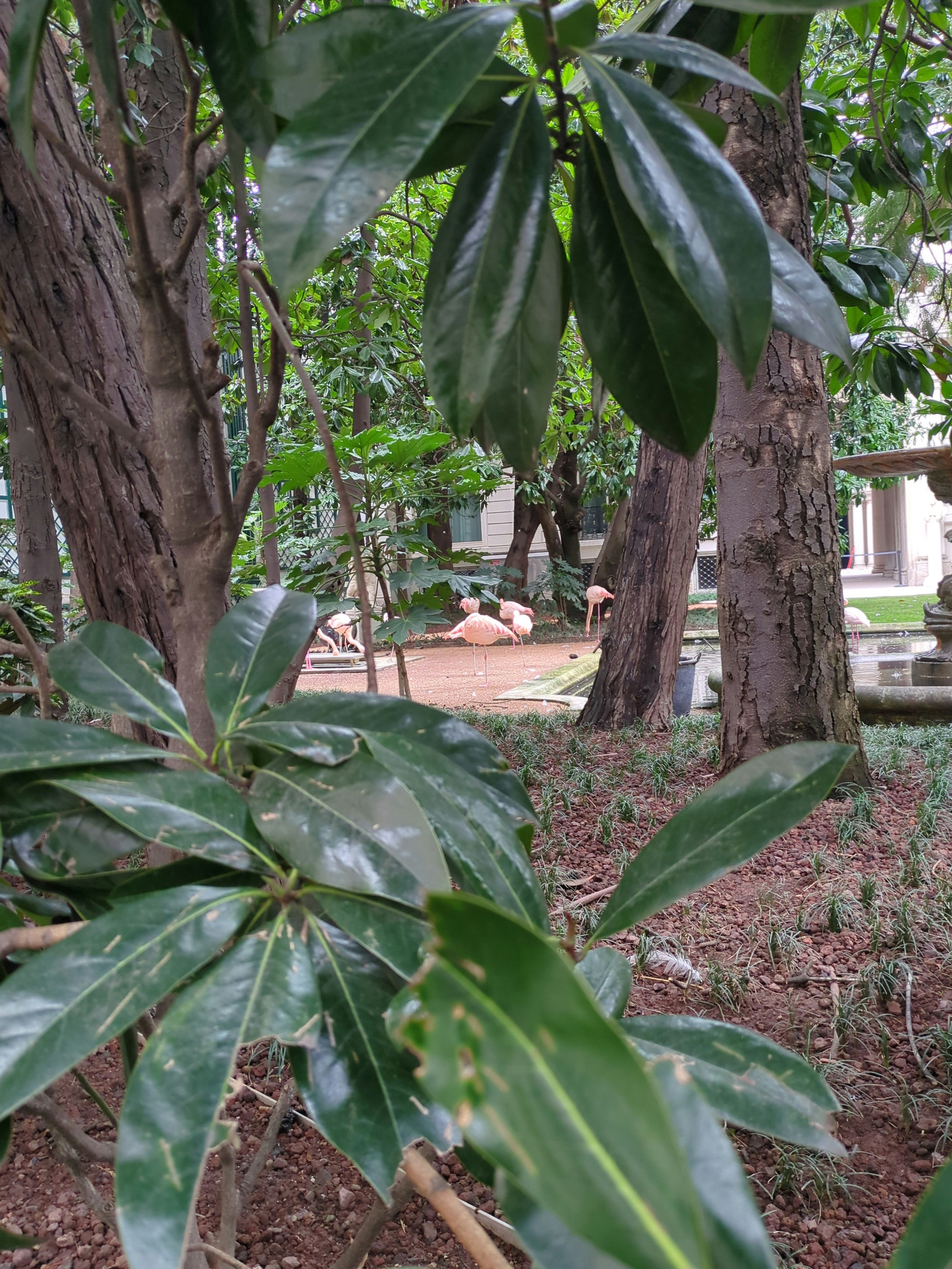 Player photo from Fantastic Milan: The Unicorn Catcher walking tour in Milan