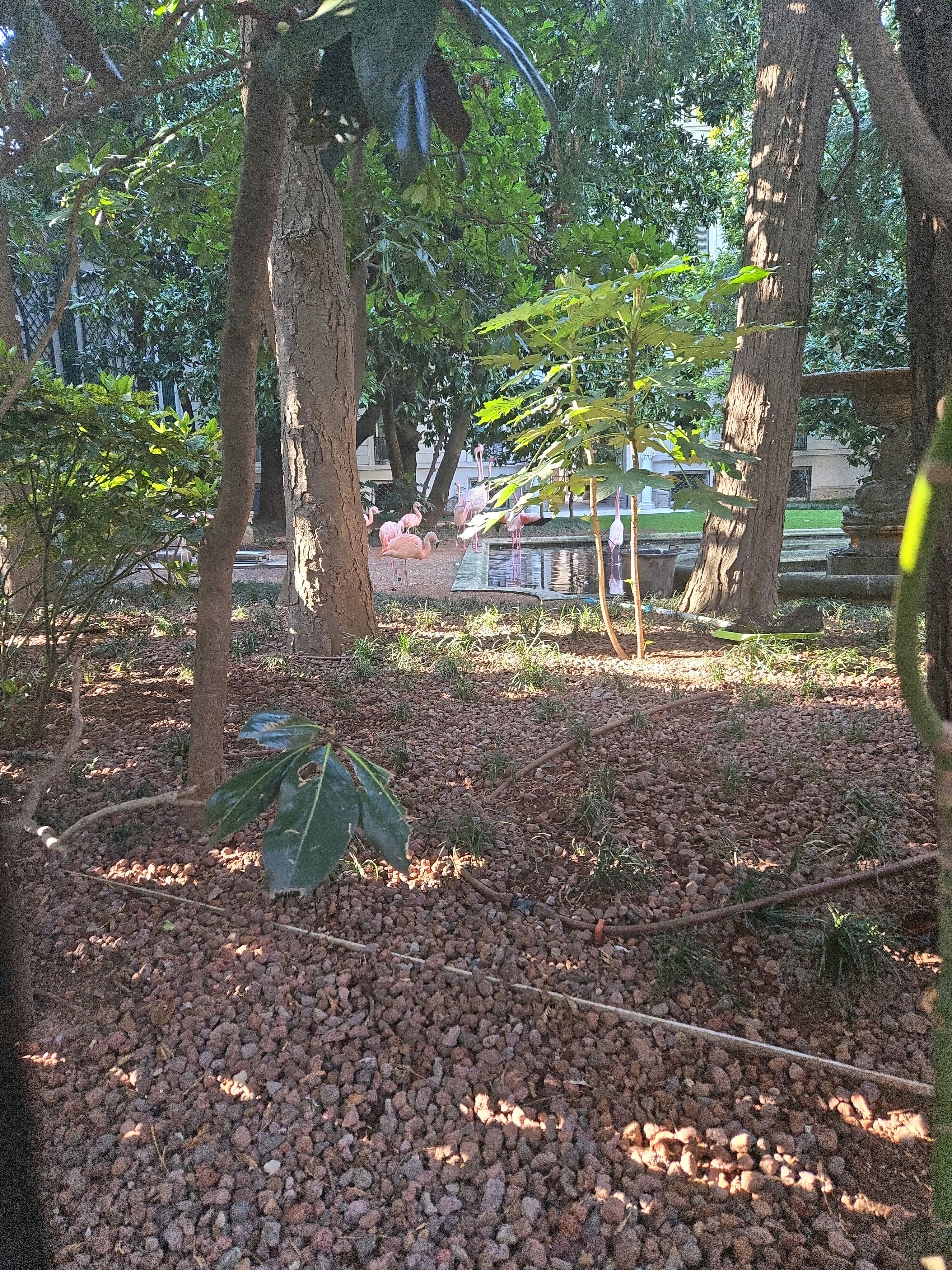 Player photo from Fantastic Milan: The Unicorn Catcher walking tour in Milan