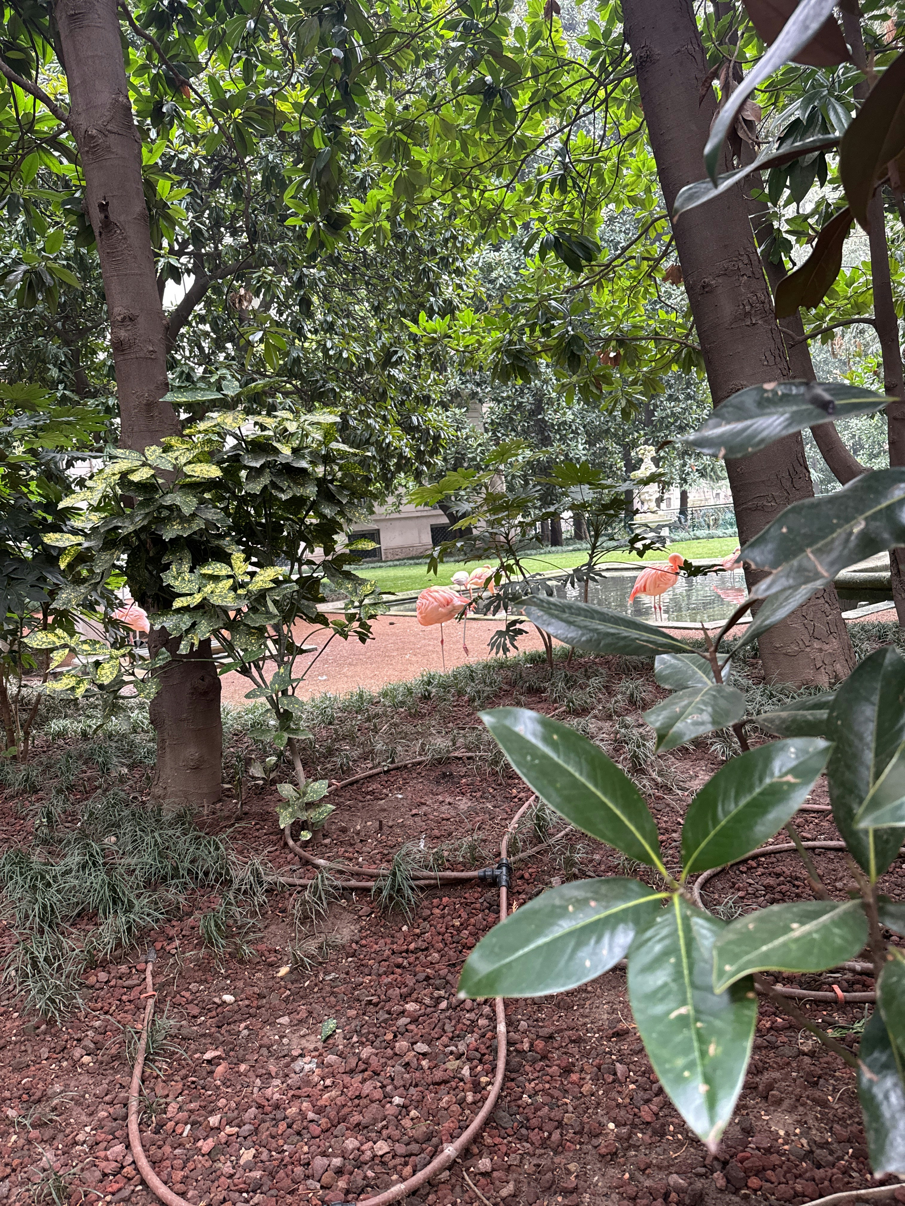 Player photo from Fantastic Milan: The Unicorn Catcher walking tour in Milan