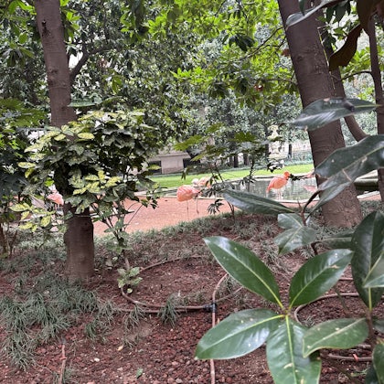 Player photo from Fantastic Milan: The Unicorn Catcher walking tour in Milan