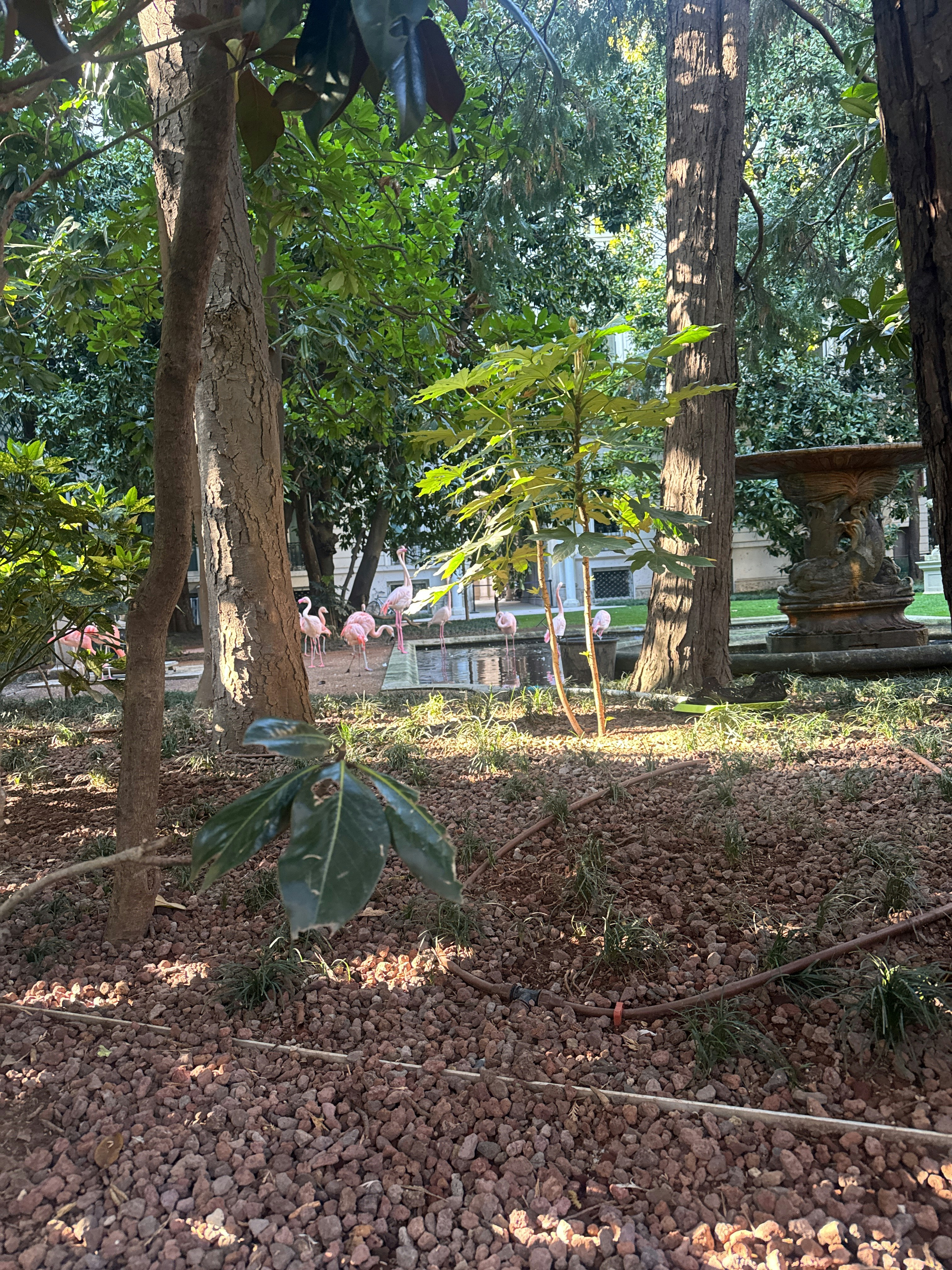 Player photo from Fantastic Milan: The Unicorn Catcher walking tour in Milan