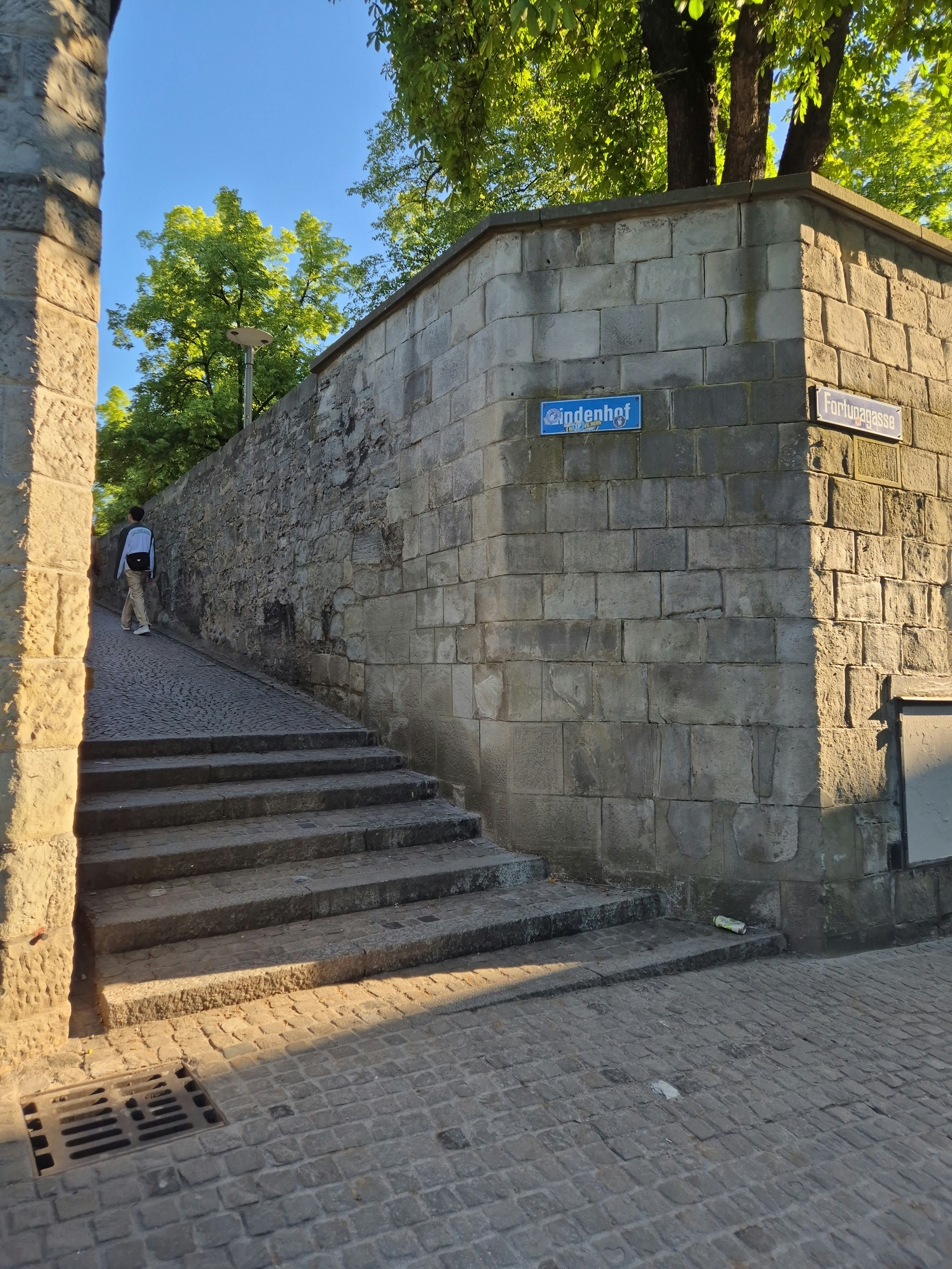 Player photo from Fun adventure tour of Zurich walking tour in Zürich