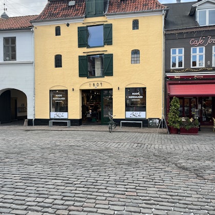 Player photo from Missing in Aarhus: A Citywide Search walking tour in Aarhus