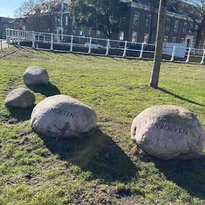Player photo from The Battle for Haarlem: Defend the City walking tour in Haarlem