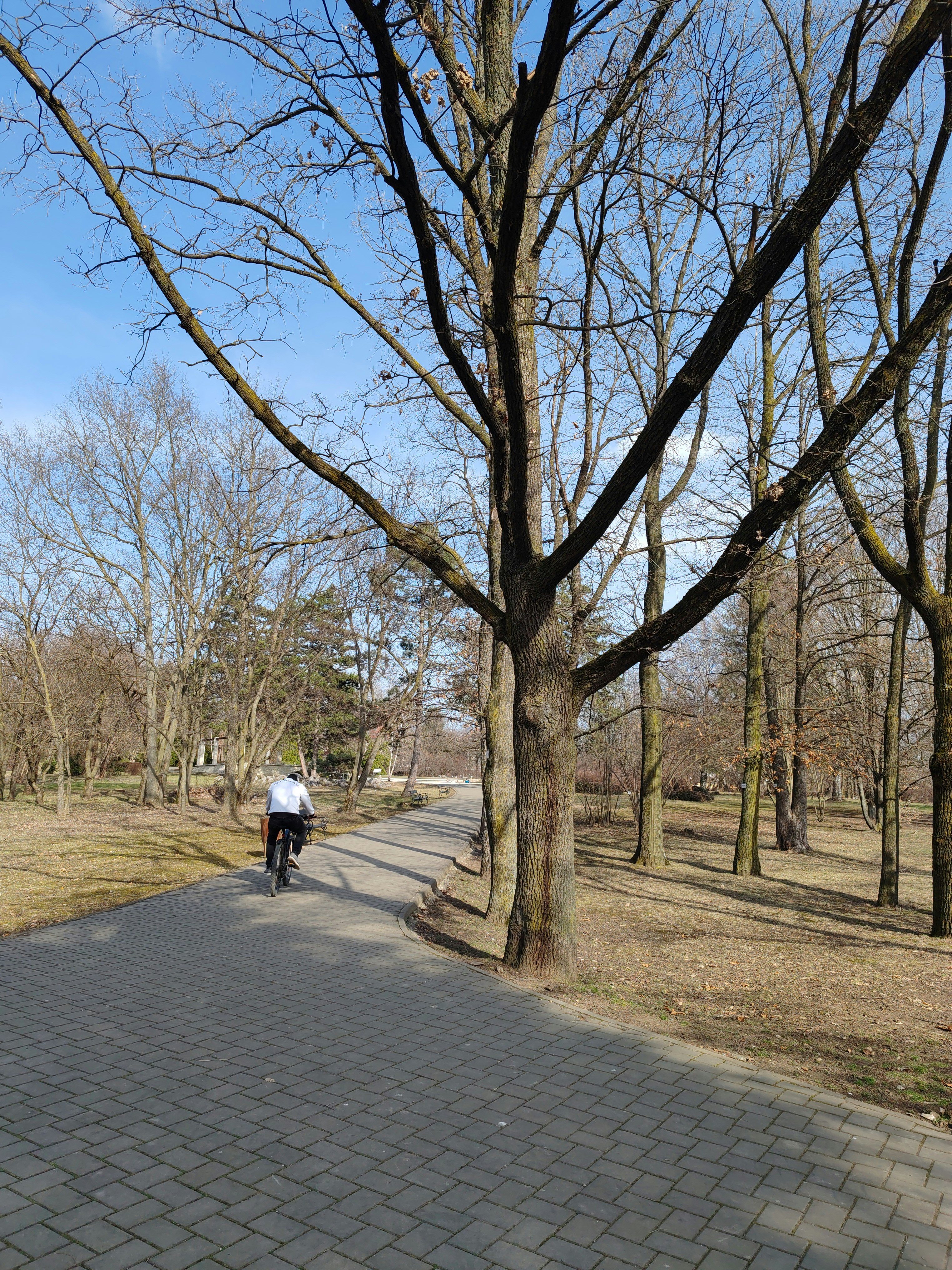 Player photo from Garden's Knights: Gradina Botanica Iasi walking tour in Iasi