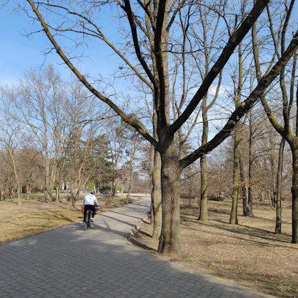 Player photo from Garden's Knights: Gradina Botanica Iasi walking tour in Iasi