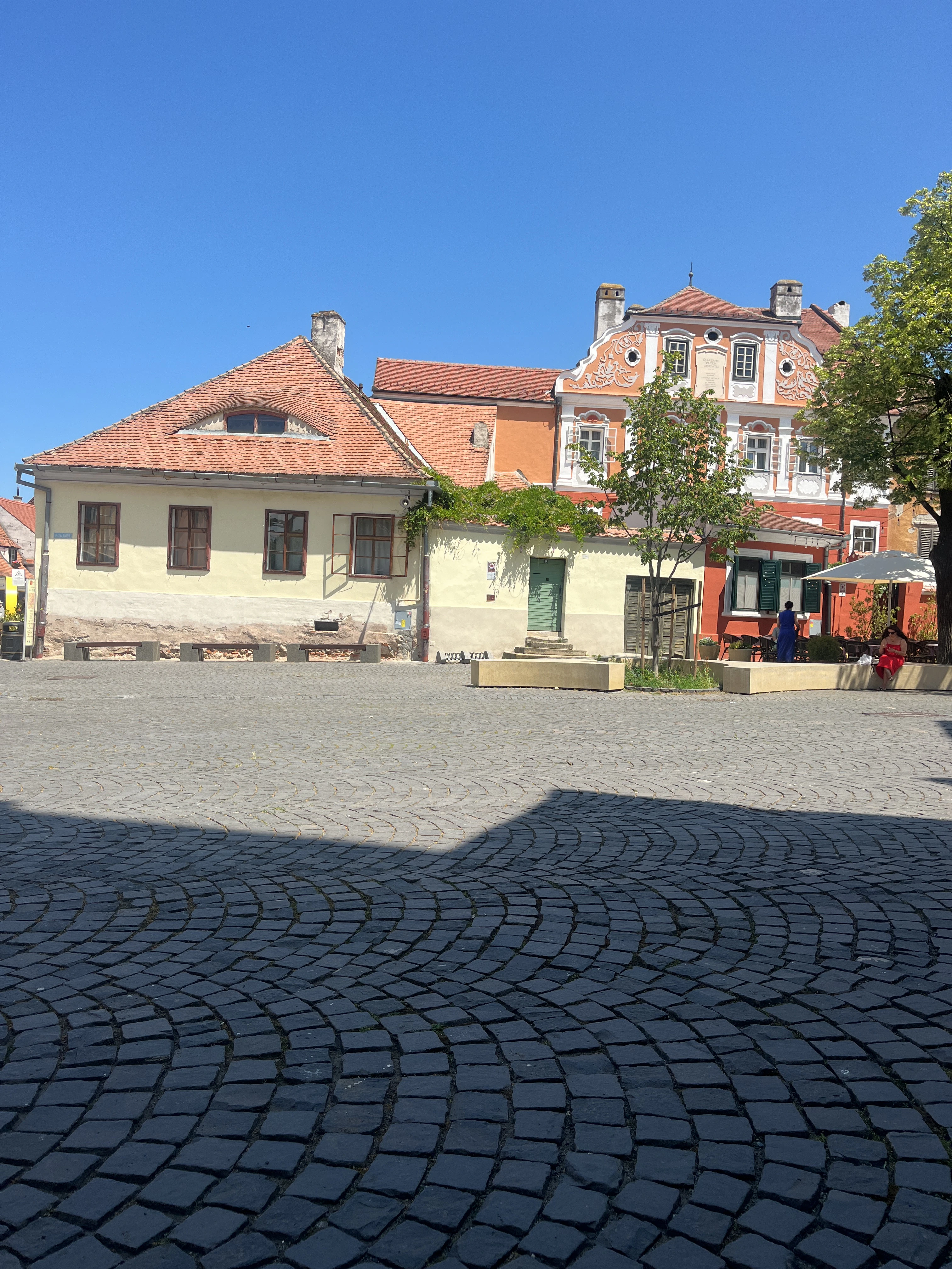 Player photo from FITS - Explore the central venues Part 2 walking tour in Sibiu