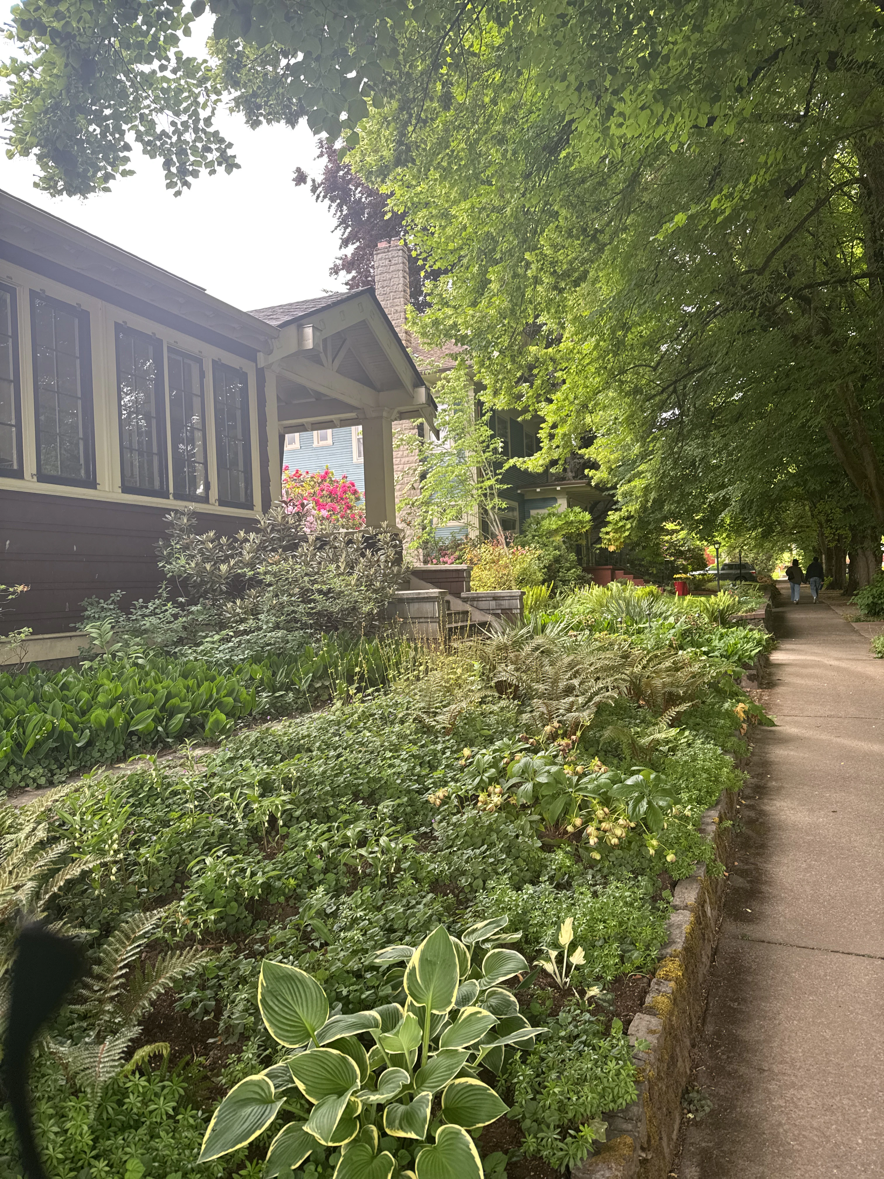 Player photo from Hidden Portland: An Enchanting Stroll in Southeast walking tour in Portland, OR