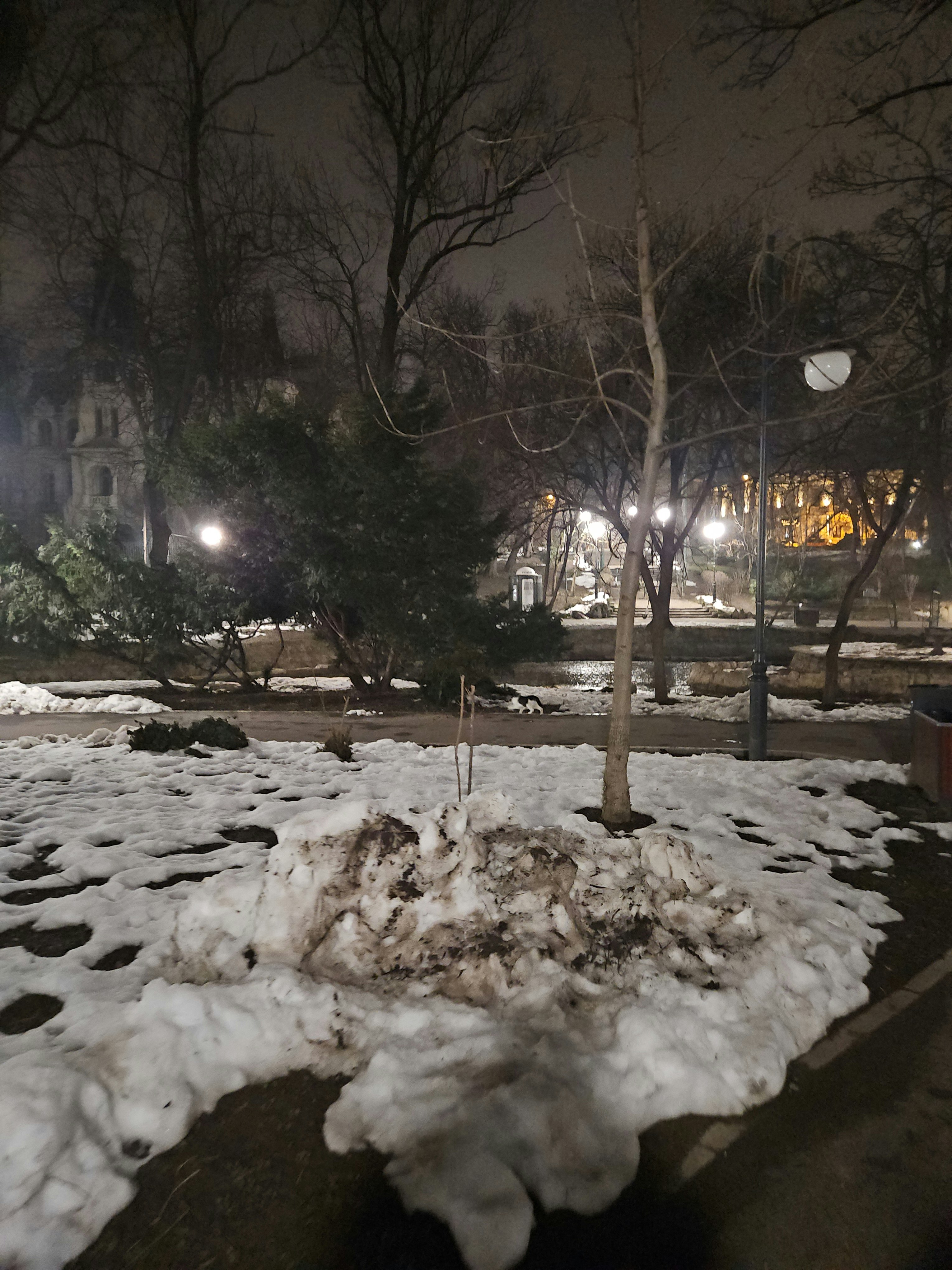 Player photo from Booksy si Agatha Read-a-lot în căutarea cărților furate walking tour in Bucharest