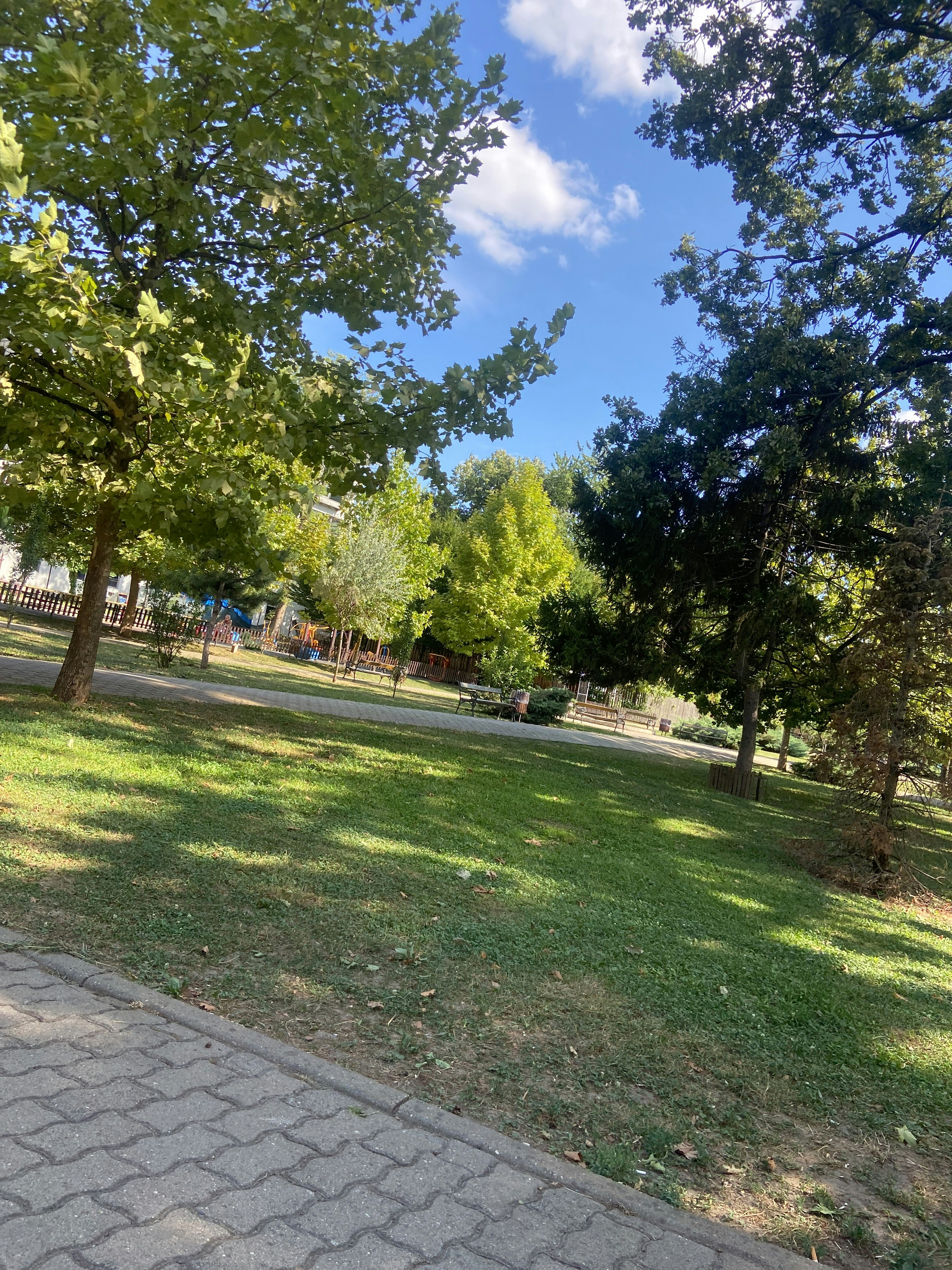 Player photo from The Mystery of the Elisabetin Parallelian Part 1, Timisoara walking tour in Timisoara