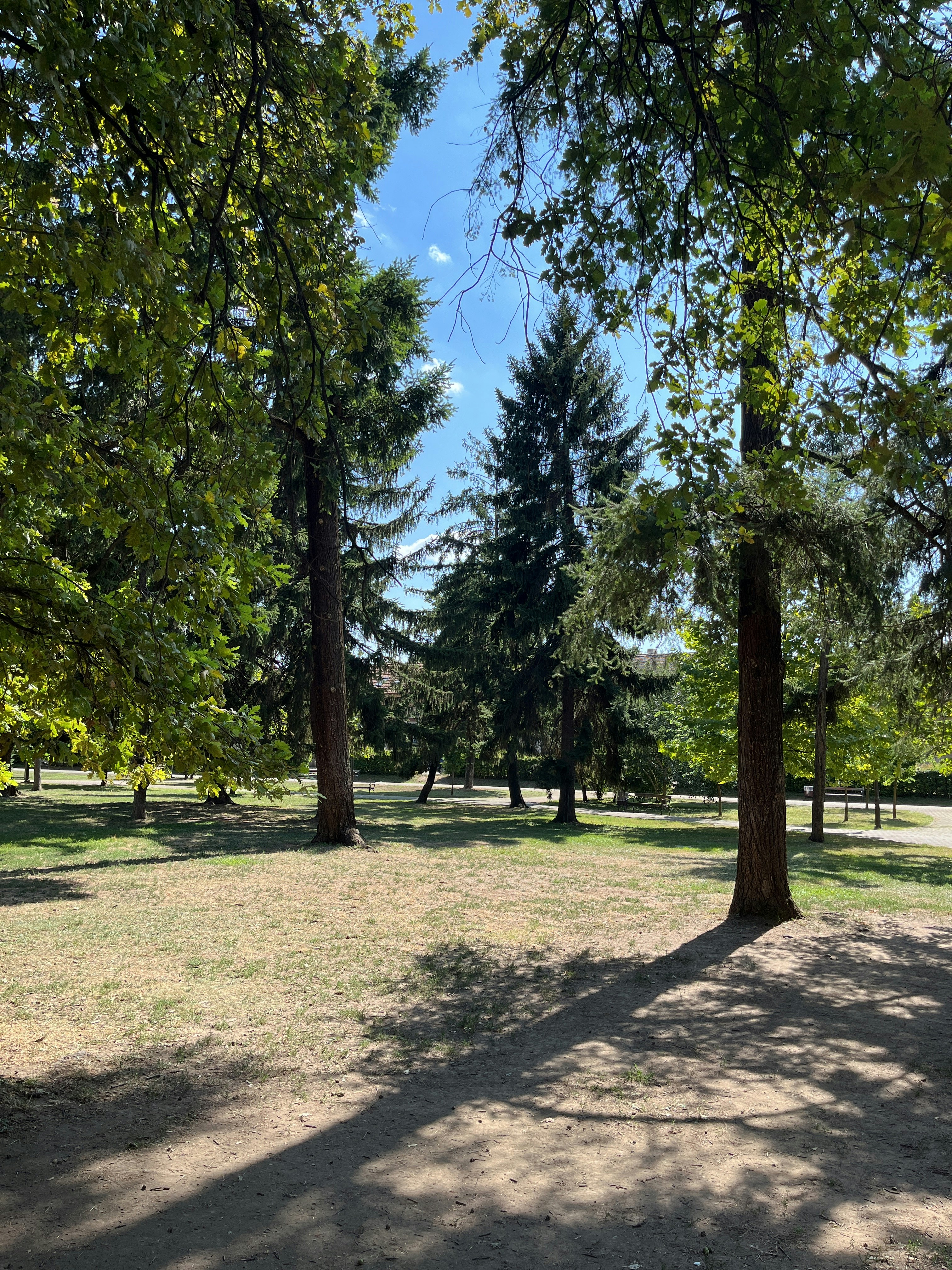 Player photo from The Mystery of the Elisabetin Parallelian Part 1, Timisoara walking tour in Timisoara