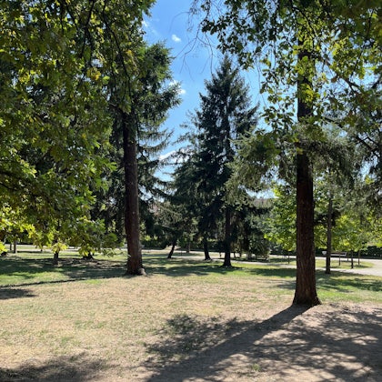 Player photo from The Mystery of the Elisabetin Parallelian Part 1, Timisoara walking tour in Timisoara