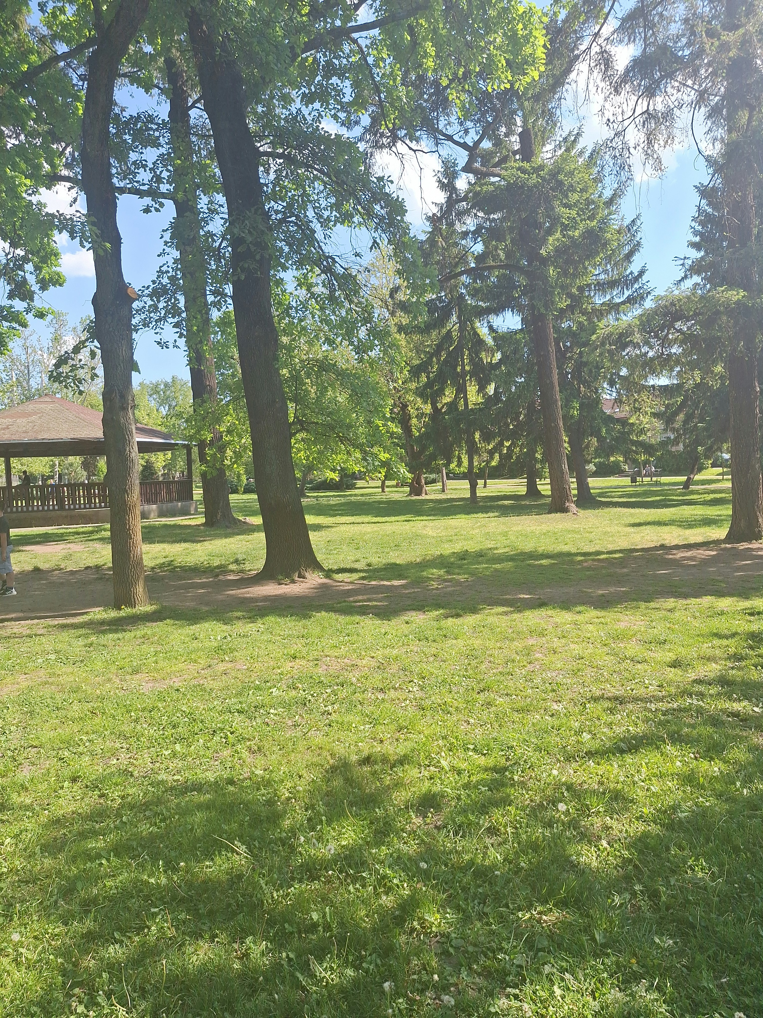 Player photo from The Mystery of the Elisabetin Parallelian Part 1, Timisoara walking tour in Timisoara