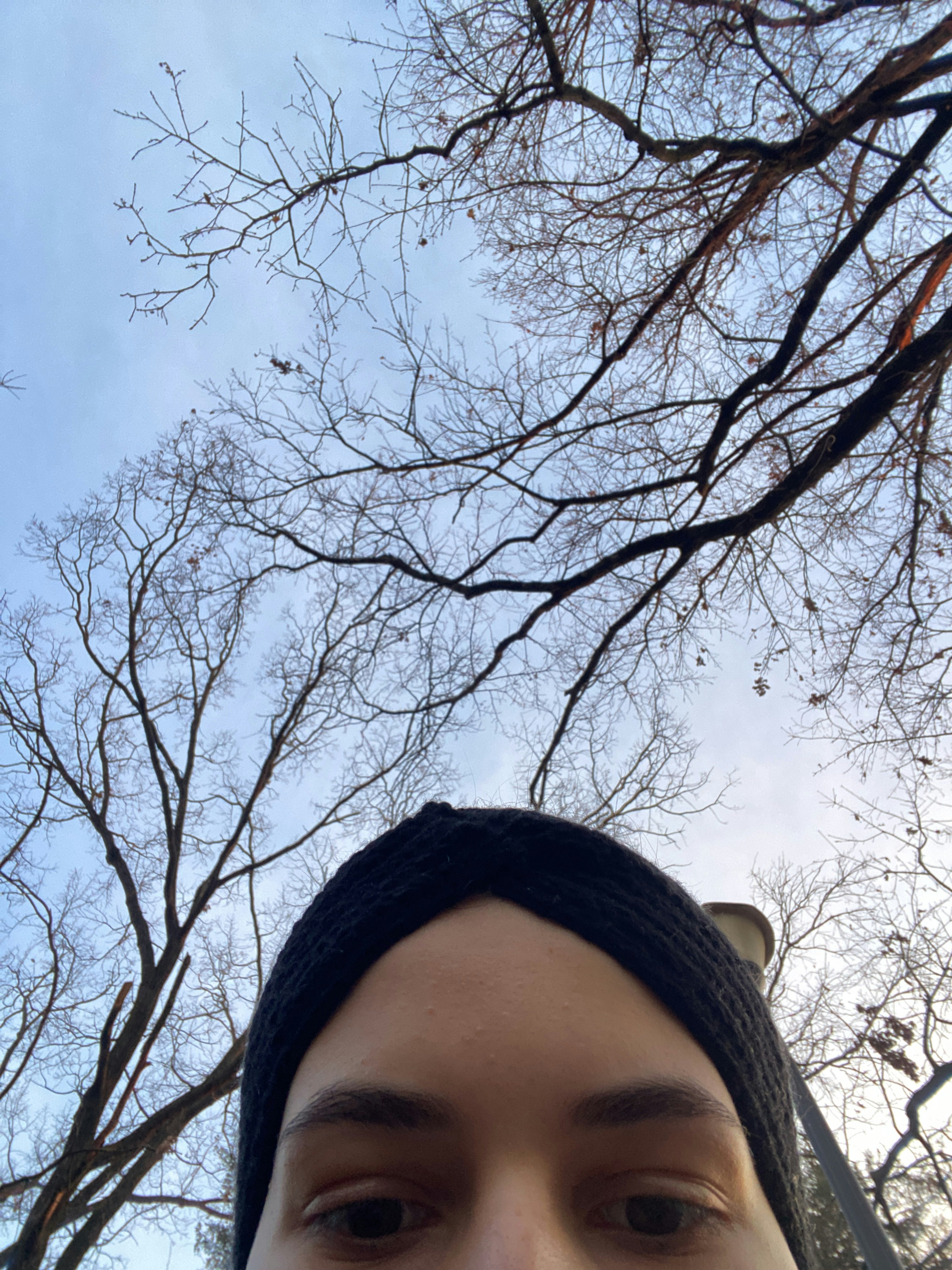 Player photo from The Mystery of the Elisabetin Parallelian Part 1, Timisoara walking tour in Timisoara