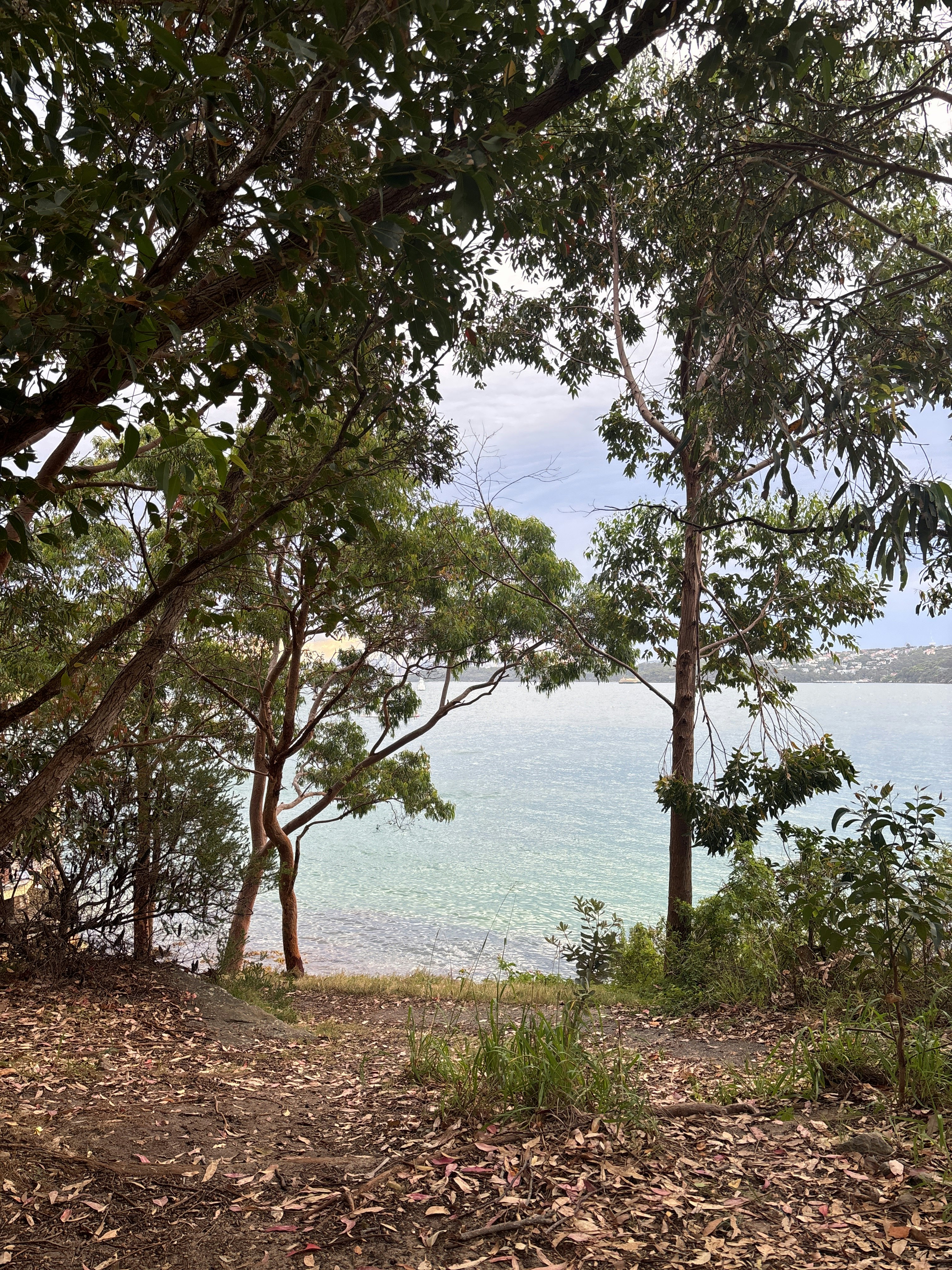 Player photo from Watsons Bay Walk: Solo survivor of The Dunbar shipwreck walking tour in Sydney