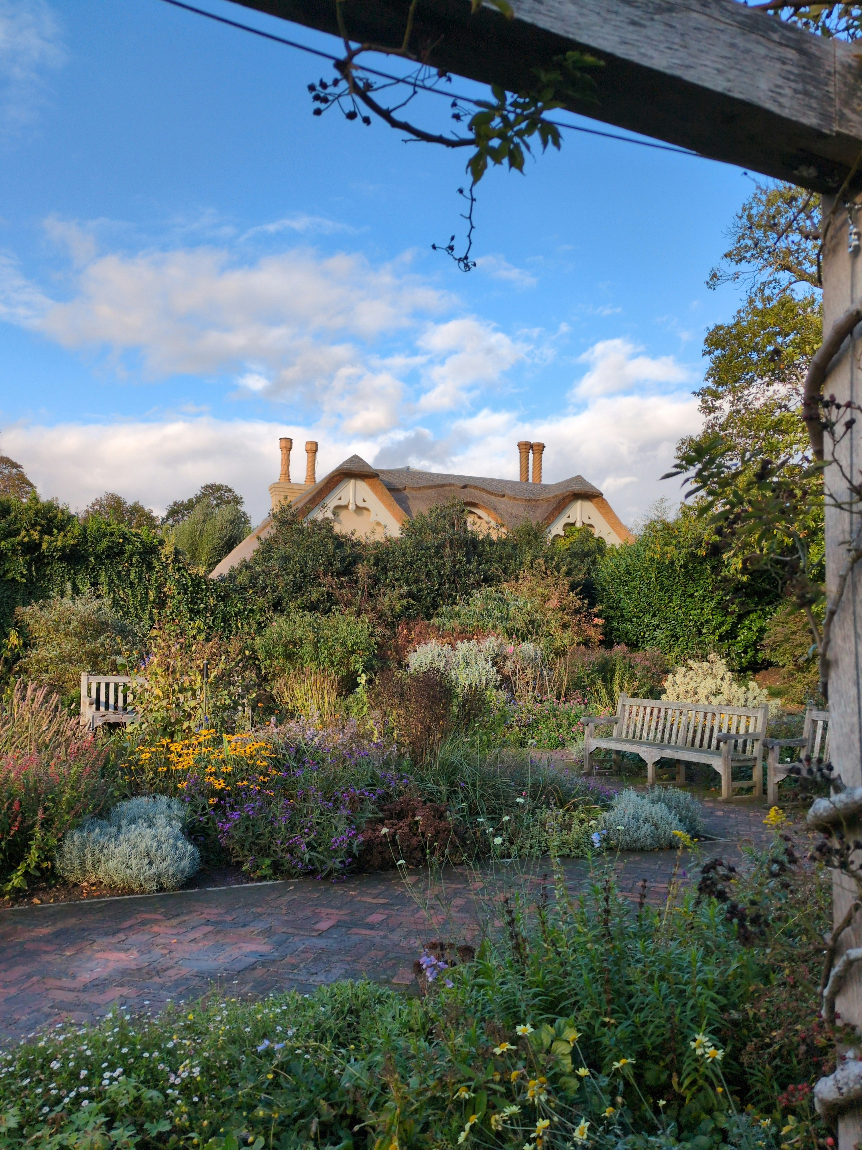 Player photo from Elle Silver's Escape: Richmond Park, London walking tour in London