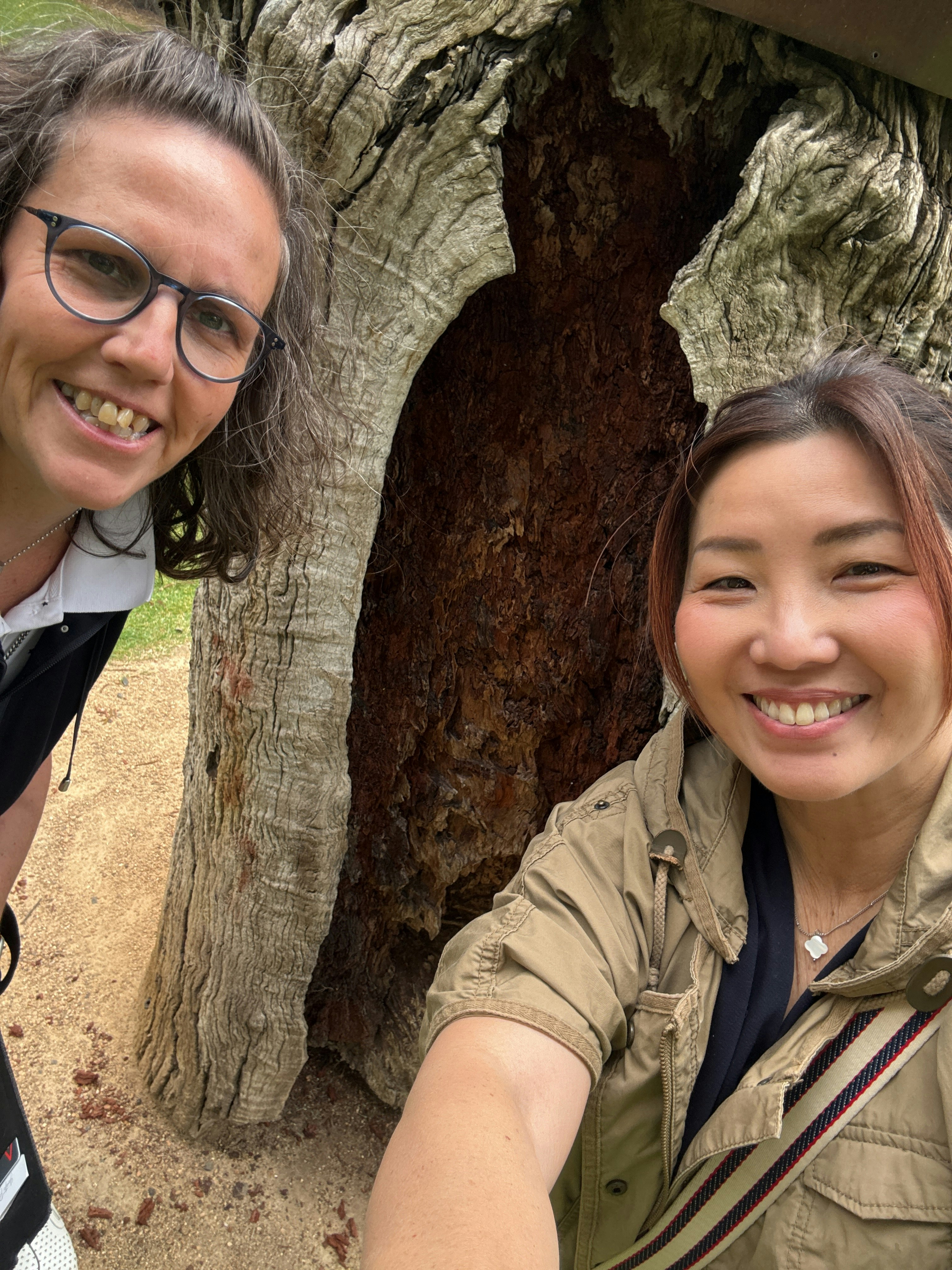 Player photo from Fitzroy & Treasury Gardens: Melbourne’s Secret Walk walking tour in Melbourne